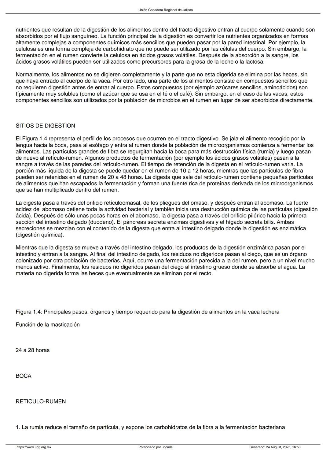 Sistema digestivo de la vaca
DESCRIPCION DEL SISTEMA DIGESTIVO
Unión Ganadera Regional de Jalisco
INTRODUCCION
La digestión es una serie de