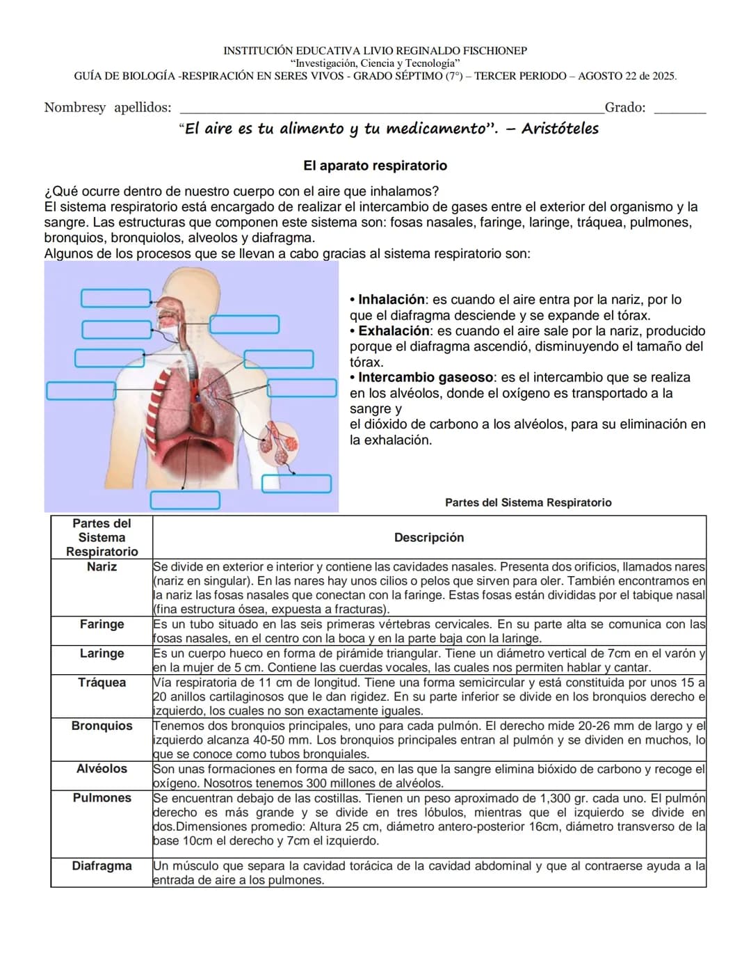 INSTITUCIÓN EDUCATIVA LIVIO REGINALDO FISCHIONEP
"Investigación, Ciencia y Tecnología"
GUÍA DE BIOLOGÍA-RESPIRACIÓN EN SERES VIVOS - GRADO S