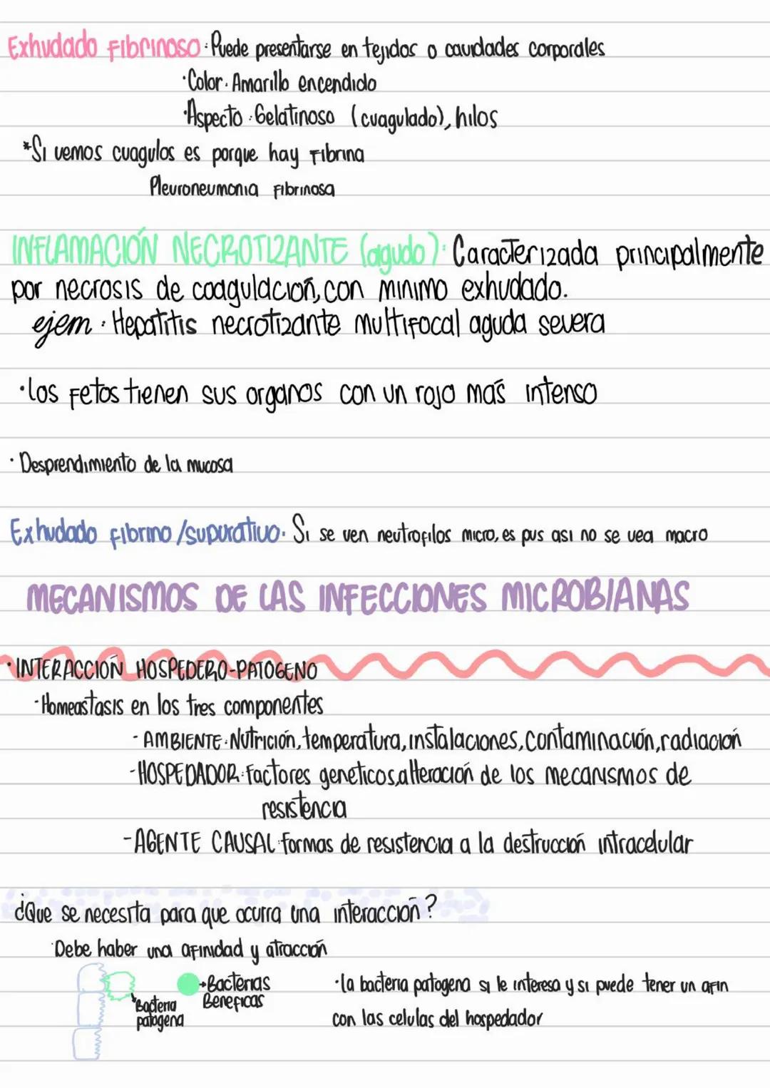 LIBROS PATOLOGIA
Los patogenos deben interactuar con los tegidos y las celulas para provocar
una enfermedad
Contenidos Basicos del curso
- D