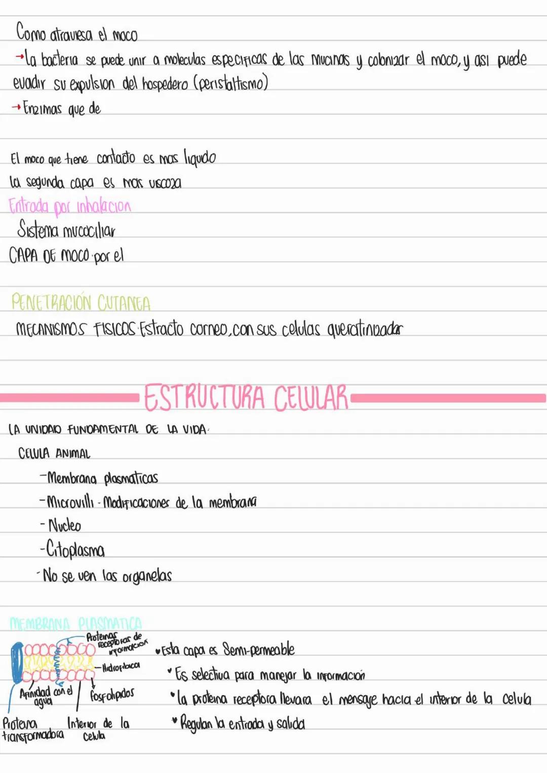 LIBROS PATOLOGIA
Los patogenos deben interactuar con los tegidos y las celulas para provocar
una enfermedad
Contenidos Basicos del curso
- D