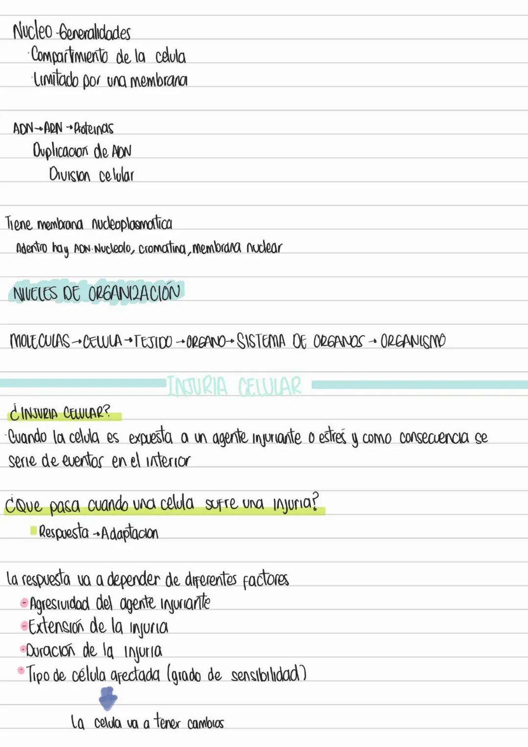 LIBROS PATOLOGIA
Los patogenos deben interactuar con los tegidos y las celulas para provocar
una enfermedad
Contenidos Basicos del curso
- D