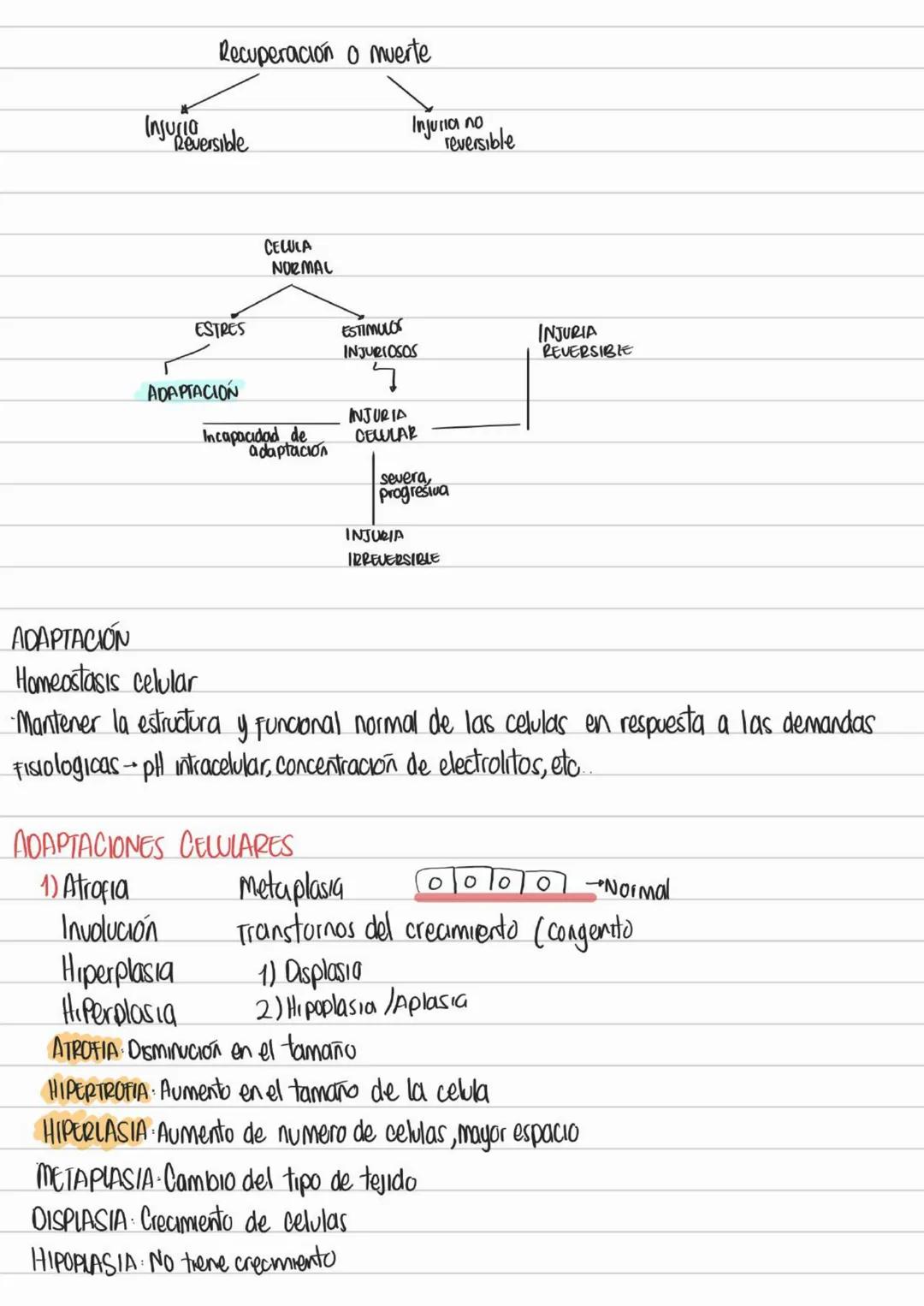 LIBROS PATOLOGIA
Los patogenos deben interactuar con los tegidos y las celulas para provocar
una enfermedad
Contenidos Basicos del curso
- D