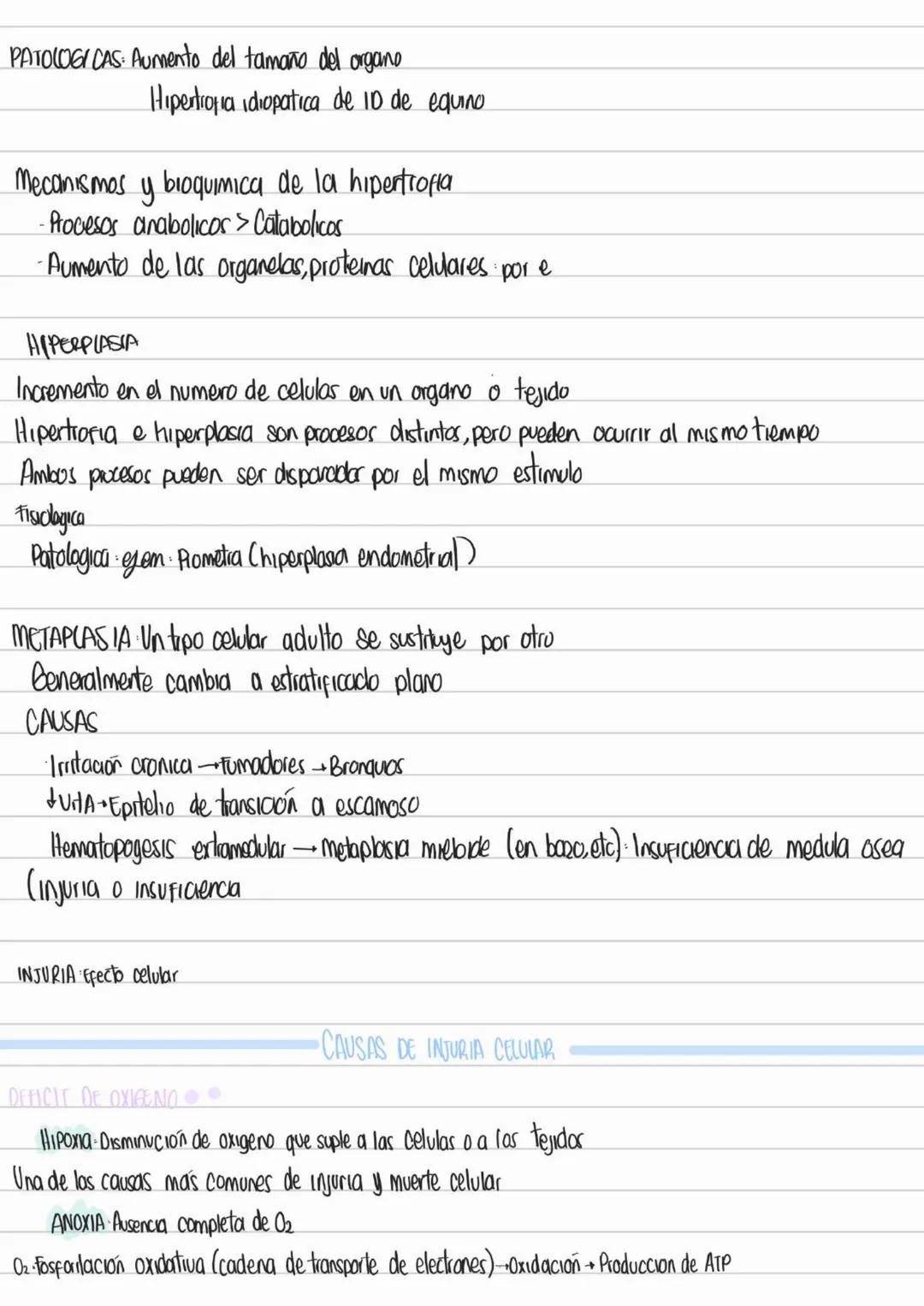 LIBROS PATOLOGIA
Los patogenos deben interactuar con los tegidos y las celulas para provocar
una enfermedad
Contenidos Basicos del curso
- D