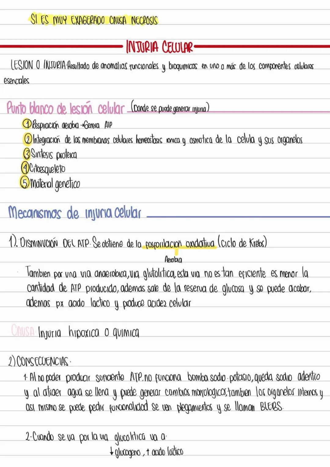 LIBROS PATOLOGIA
Los patogenos deben interactuar con los tegidos y las celulas para provocar
una enfermedad
Contenidos Basicos del curso
- D