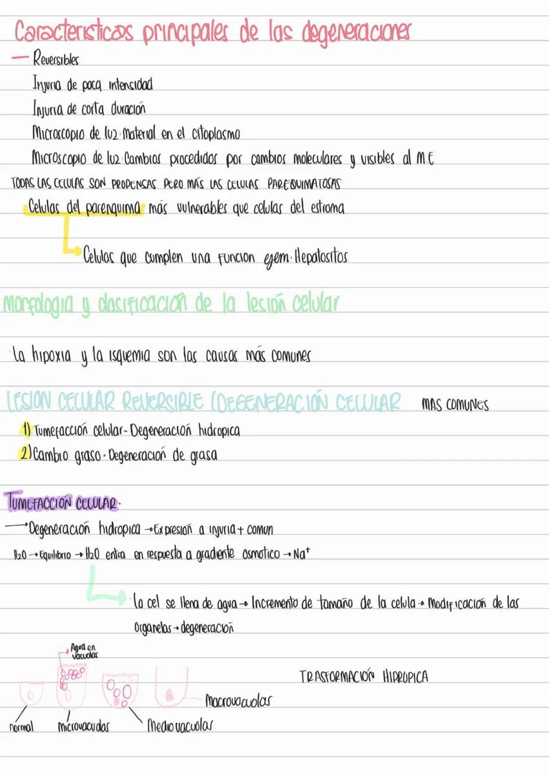 LIBROS PATOLOGIA
Los patogenos deben interactuar con los tegidos y las celulas para provocar
una enfermedad
Contenidos Basicos del curso
- D