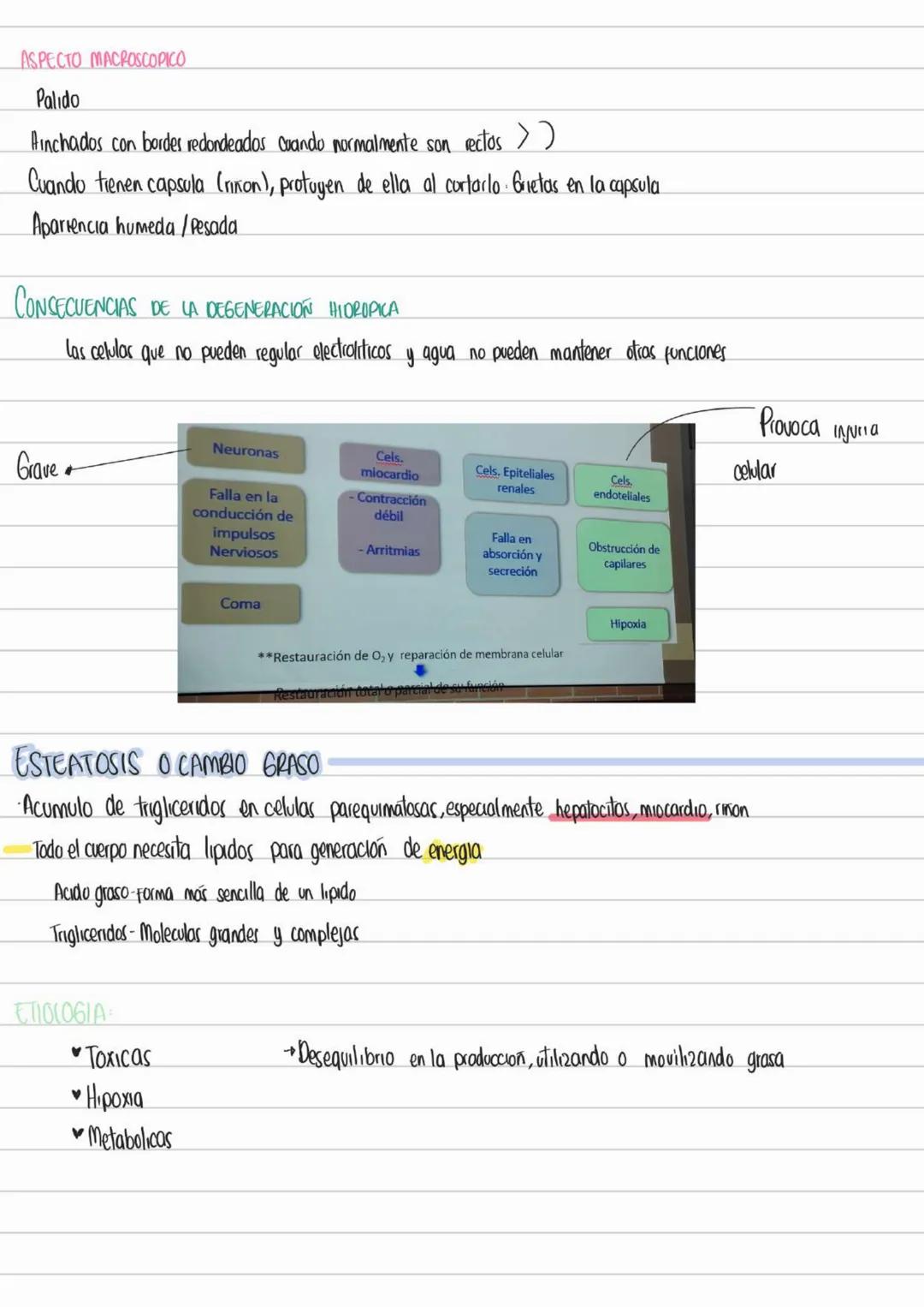 LIBROS PATOLOGIA
Los patogenos deben interactuar con los tegidos y las celulas para provocar
una enfermedad
Contenidos Basicos del curso
- D