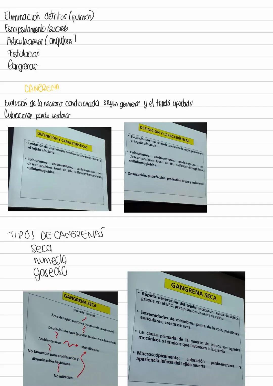 LIBROS PATOLOGIA
Los patogenos deben interactuar con los tegidos y las celulas para provocar
una enfermedad
Contenidos Basicos del curso
- D