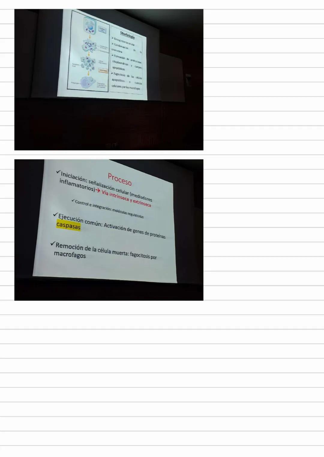 LIBROS PATOLOGIA
Los patogenos deben interactuar con los tegidos y las celulas para provocar
una enfermedad
Contenidos Basicos del curso
- D