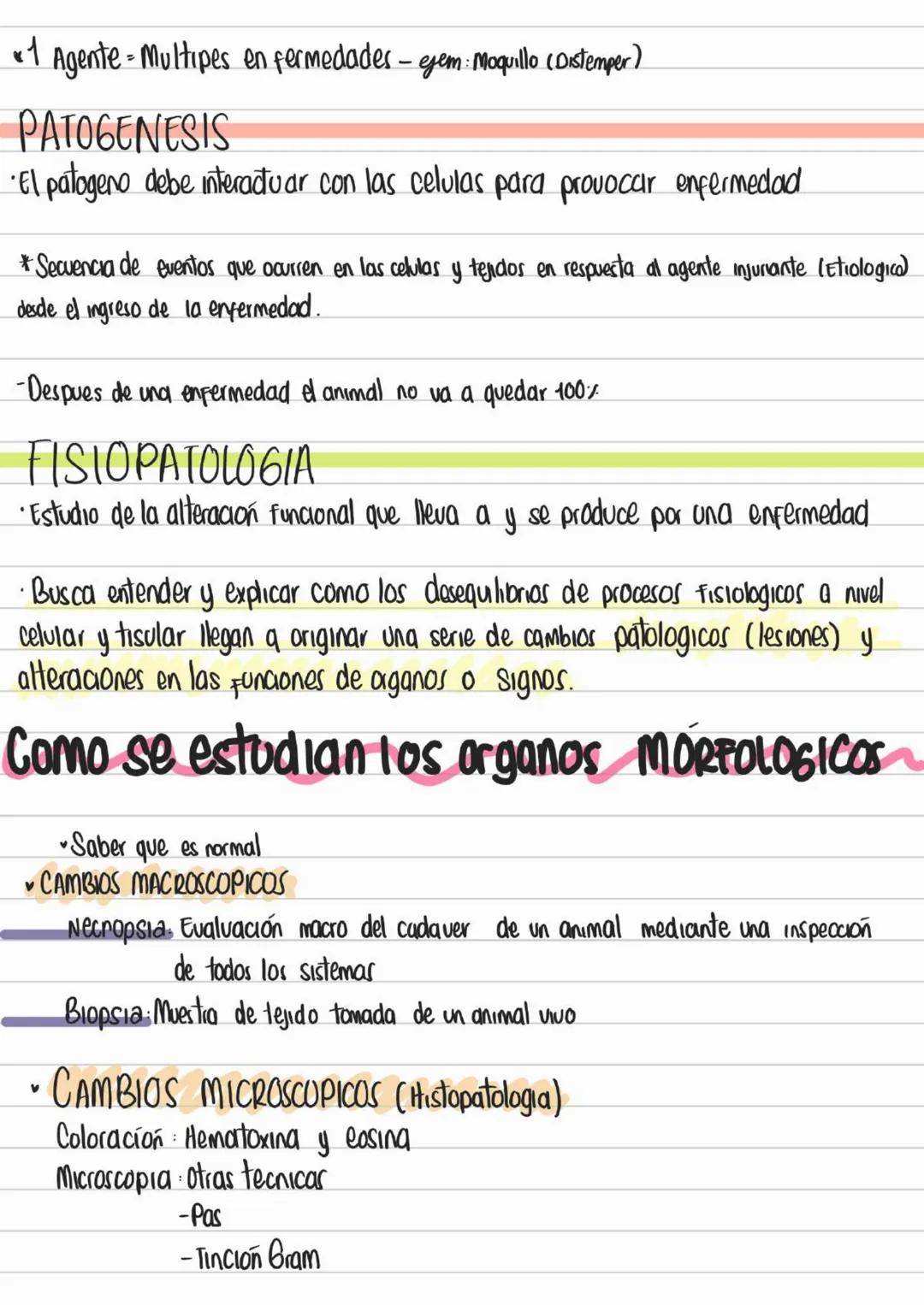 LIBROS PATOLOGIA
Los patogenos deben interactuar con los tegidos y las celulas para provocar
una enfermedad
Contenidos Basicos del curso
- D