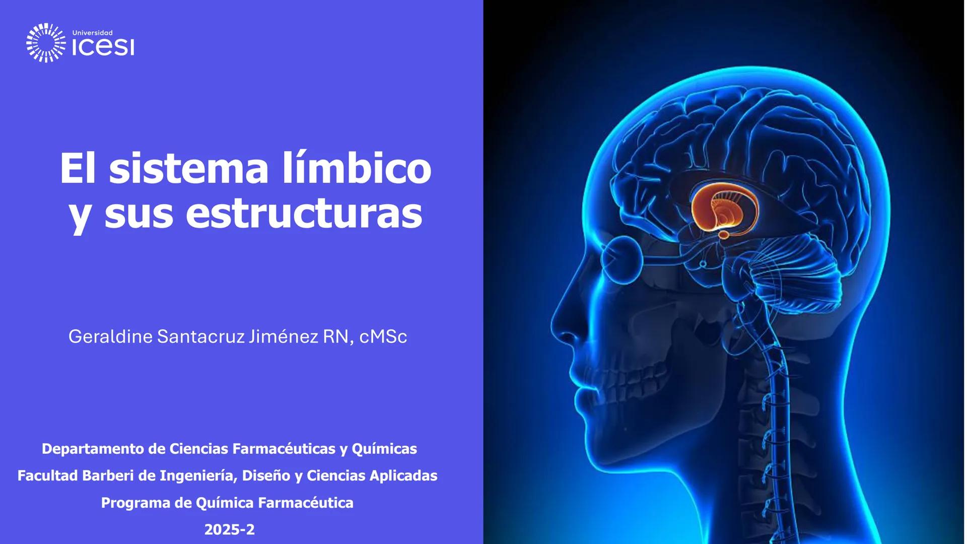 Universidad
icesi
El sistema límbico
y sus estructuras
Geraldine Santacruz Jiménez RN, CMSc
Departamento de Ciencias Farmacéuticas y Química