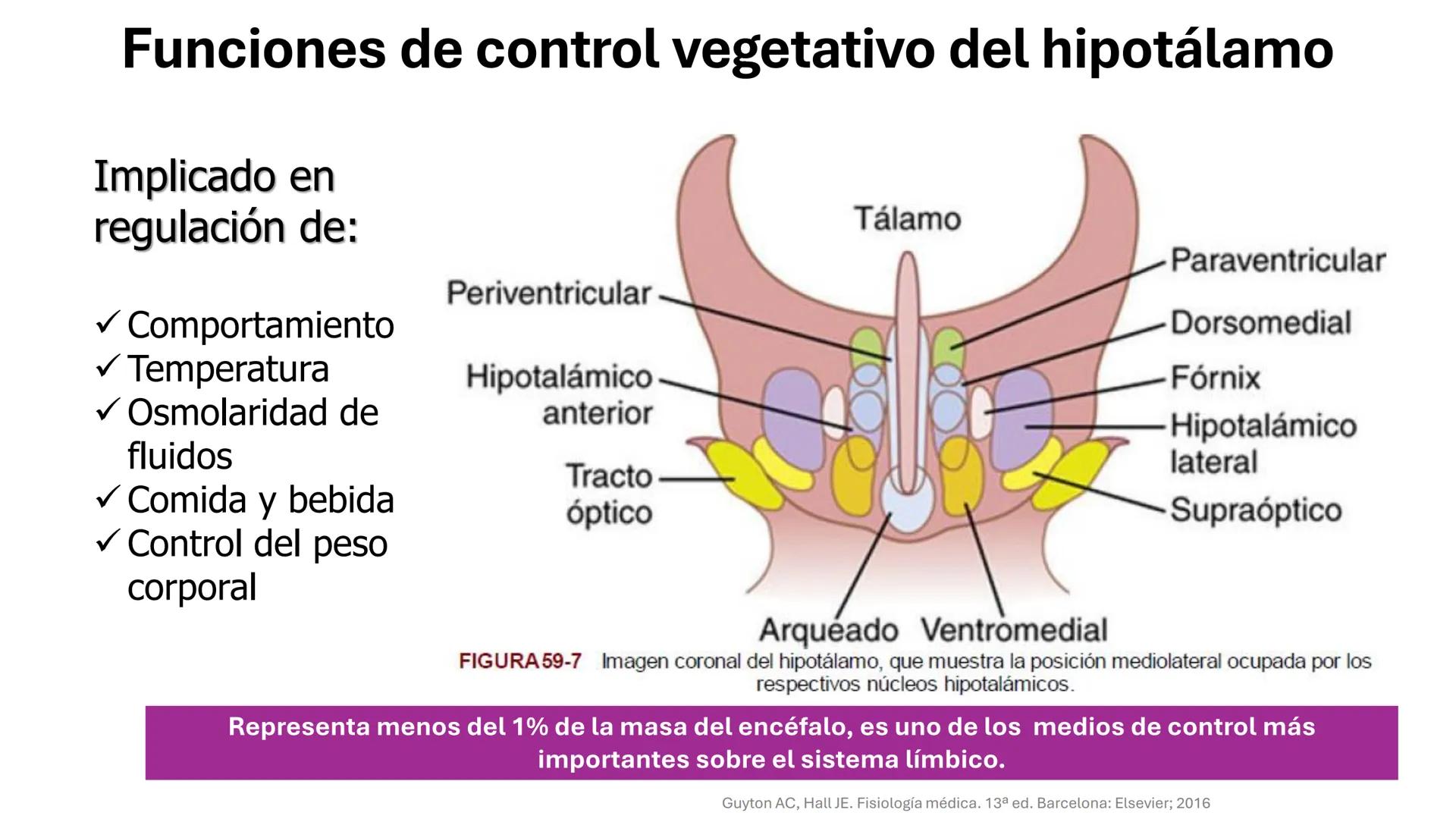 Universidad
icesi
El sistema límbico
y sus estructuras
Geraldine Santacruz Jiménez RN, CMSc
Departamento de Ciencias Farmacéuticas y Química