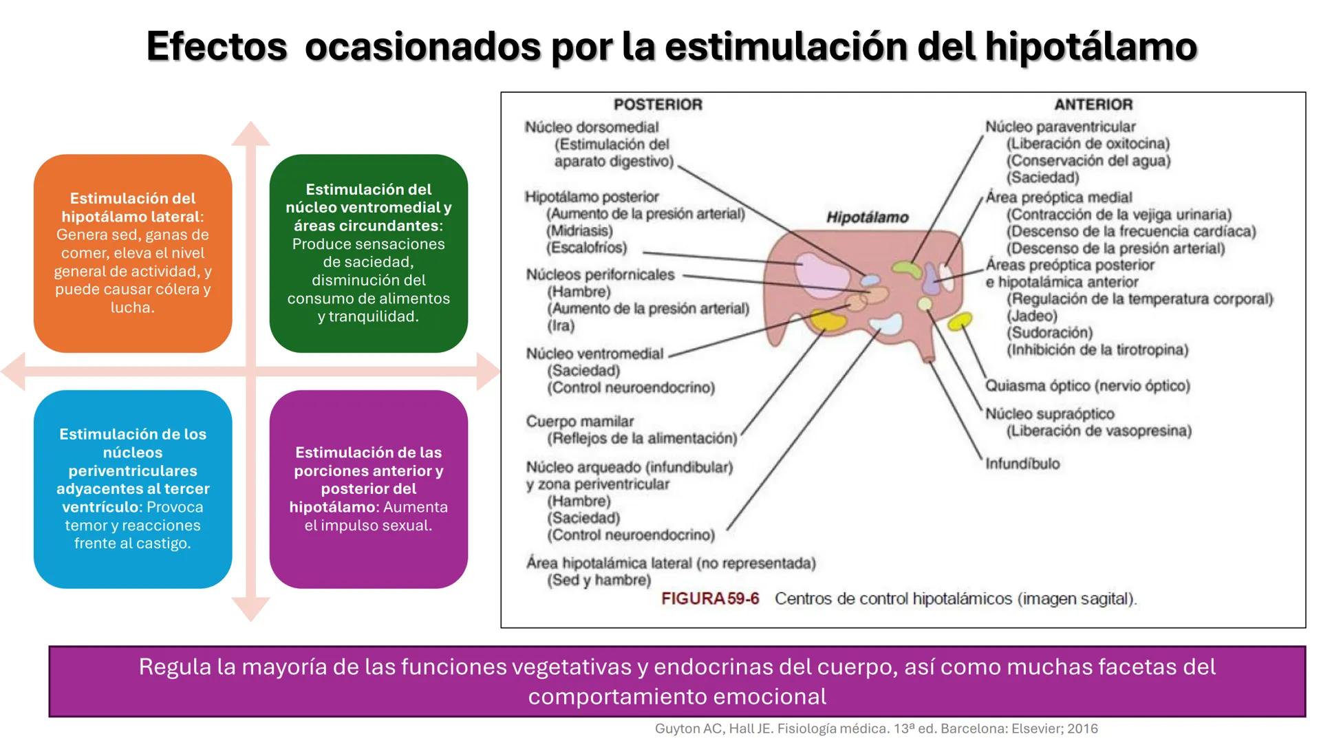 Universidad
icesi
El sistema límbico
y sus estructuras
Geraldine Santacruz Jiménez RN, CMSc
Departamento de Ciencias Farmacéuticas y Química