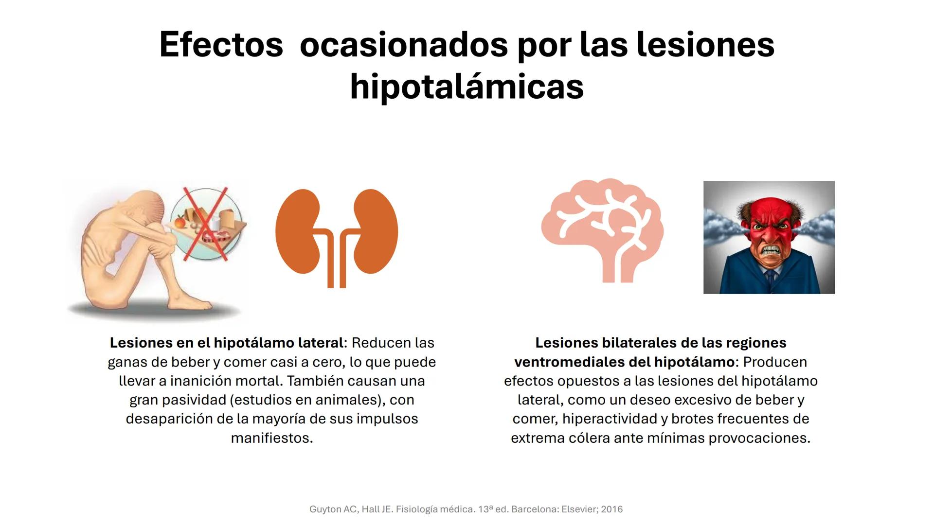 Universidad
icesi
El sistema límbico
y sus estructuras
Geraldine Santacruz Jiménez RN, CMSc
Departamento de Ciencias Farmacéuticas y Química