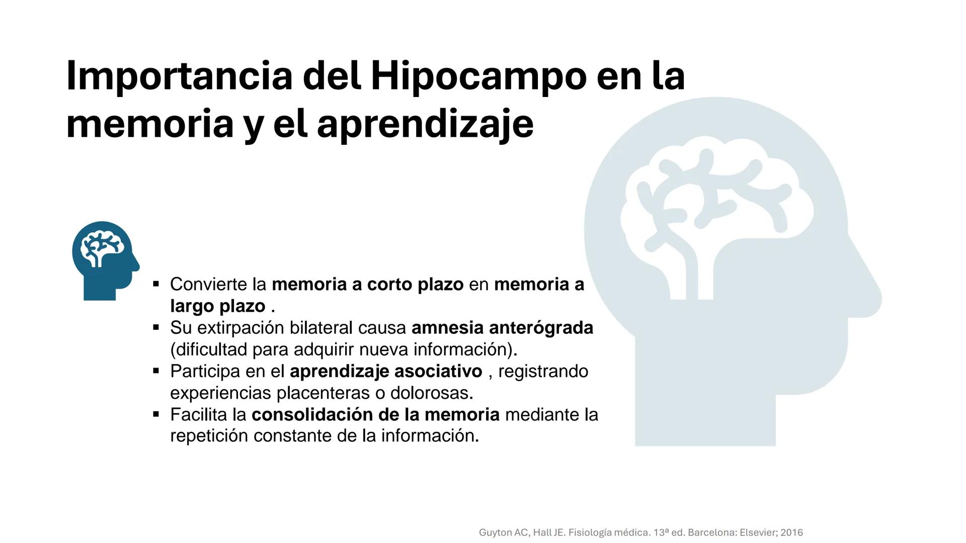 Universidad
icesi
El sistema límbico
y sus estructuras
Geraldine Santacruz Jiménez RN, CMSc
Departamento de Ciencias Farmacéuticas y Química