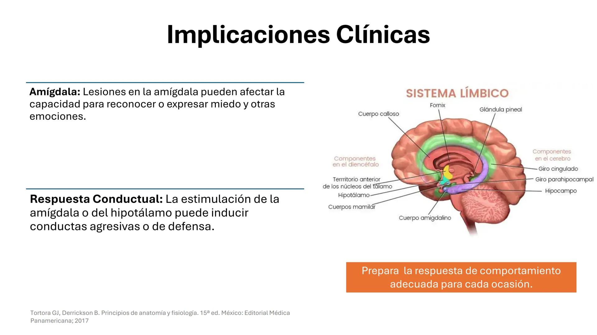 Universidad
icesi
El sistema límbico
y sus estructuras
Geraldine Santacruz Jiménez RN, CMSc
Departamento de Ciencias Farmacéuticas y Química