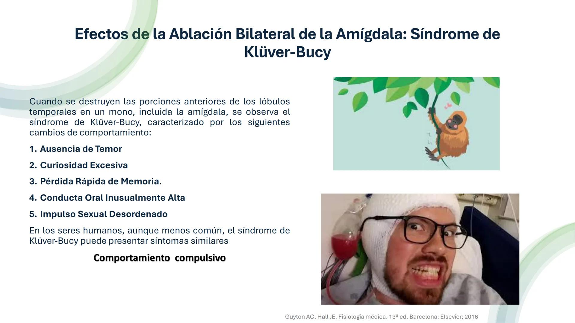Universidad
icesi
El sistema límbico
y sus estructuras
Geraldine Santacruz Jiménez RN, CMSc
Departamento de Ciencias Farmacéuticas y Química