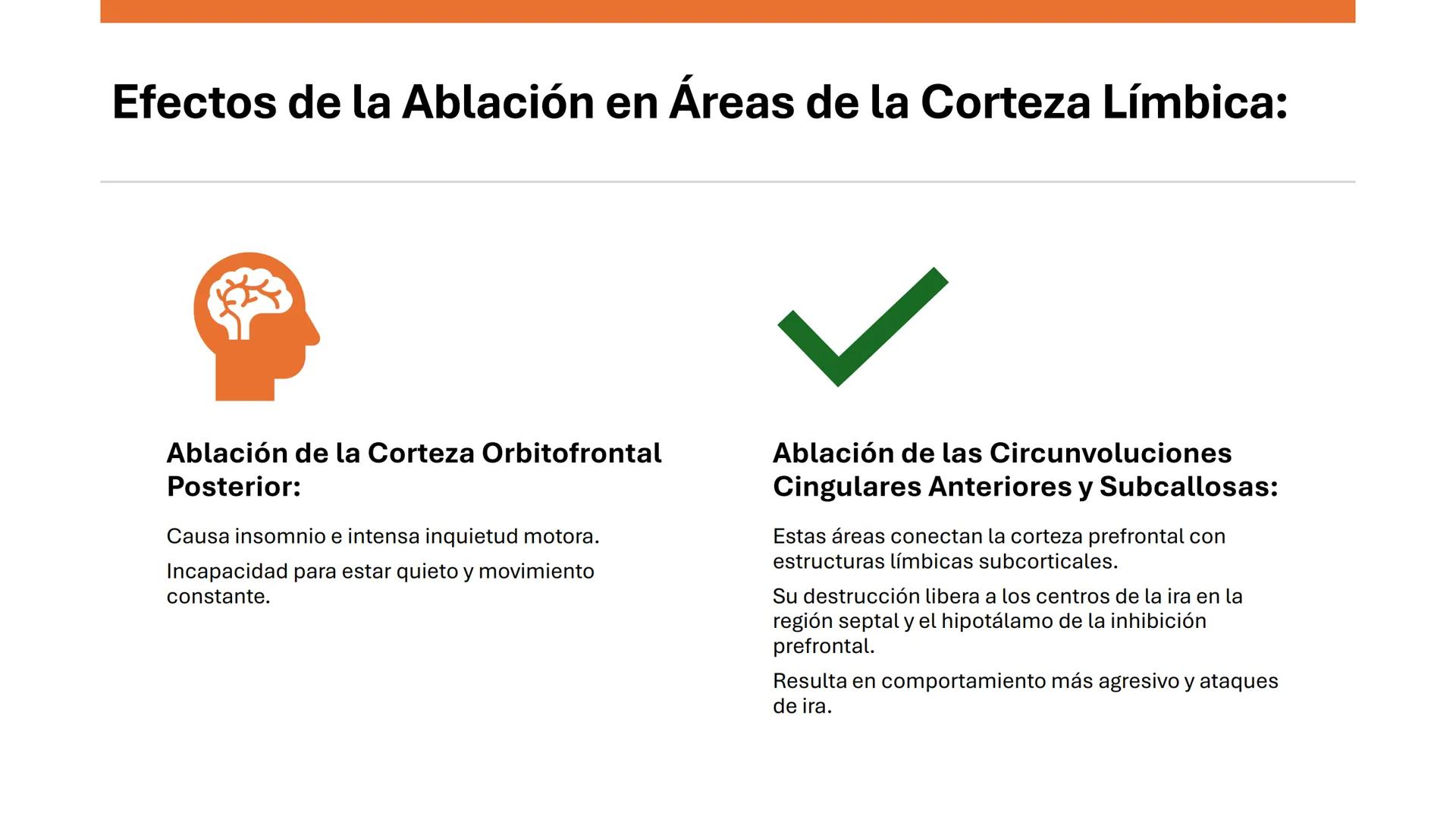 Universidad
icesi
El sistema límbico
y sus estructuras
Geraldine Santacruz Jiménez RN, CMSc
Departamento de Ciencias Farmacéuticas y Química