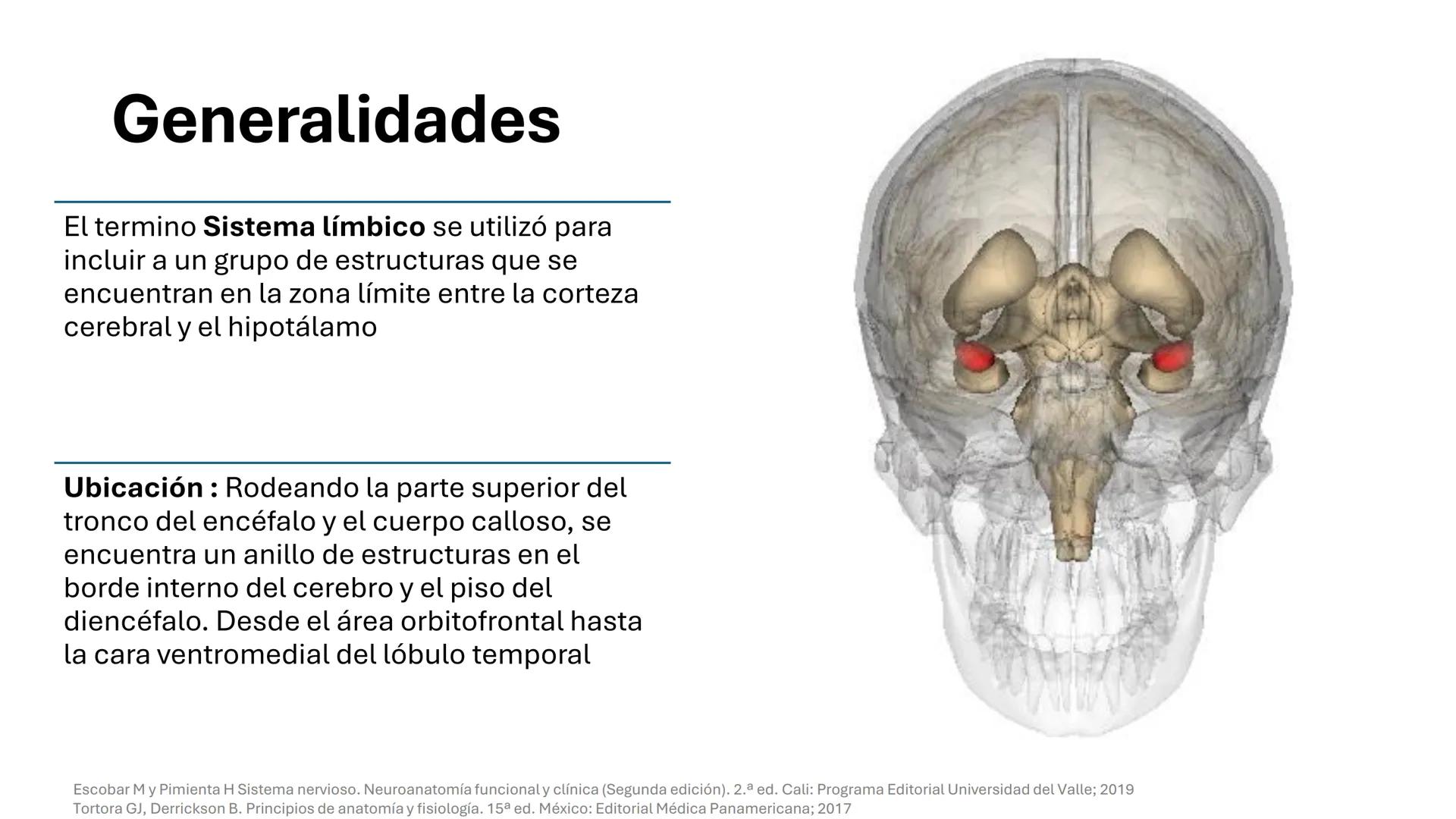 Universidad
icesi
El sistema límbico
y sus estructuras
Geraldine Santacruz Jiménez RN, CMSc
Departamento de Ciencias Farmacéuticas y Química