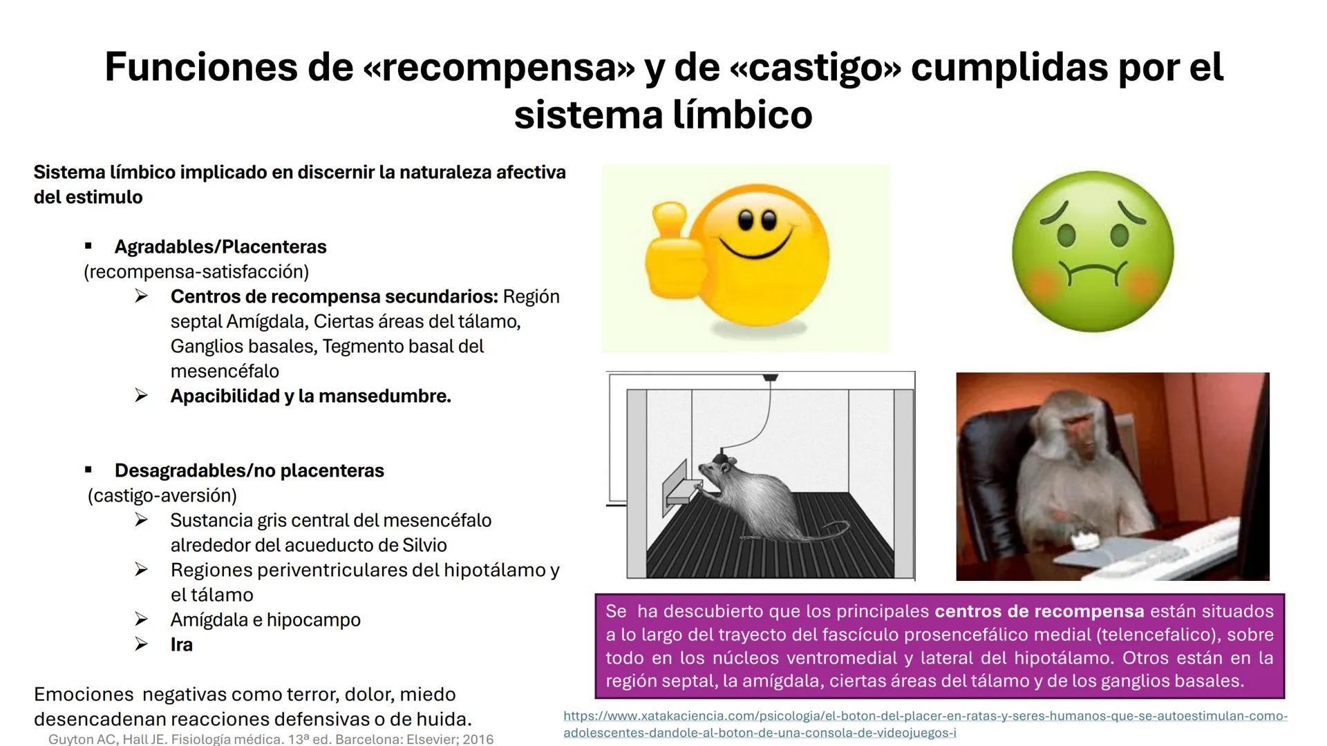 Universidad
icesi
El sistema límbico
y sus estructuras
Geraldine Santacruz Jiménez RN, CMSc
Departamento de Ciencias Farmacéuticas y Química