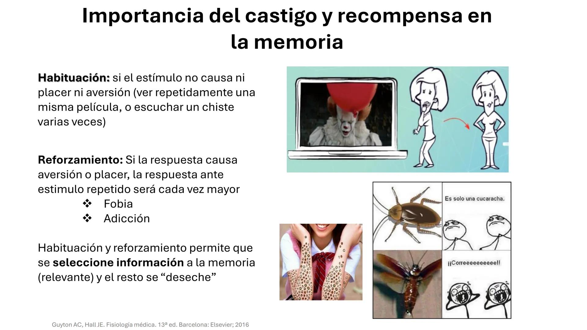 Universidad
icesi
El sistema límbico
y sus estructuras
Geraldine Santacruz Jiménez RN, CMSc
Departamento de Ciencias Farmacéuticas y Química