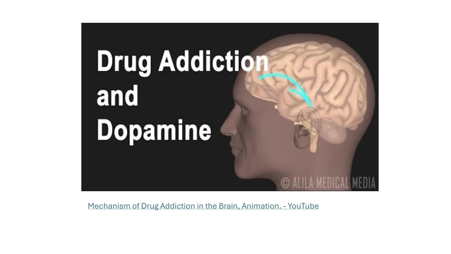 Universidad
icesi
El sistema límbico
y sus estructuras
Geraldine Santacruz Jiménez RN, CMSc
Departamento de Ciencias Farmacéuticas y Química