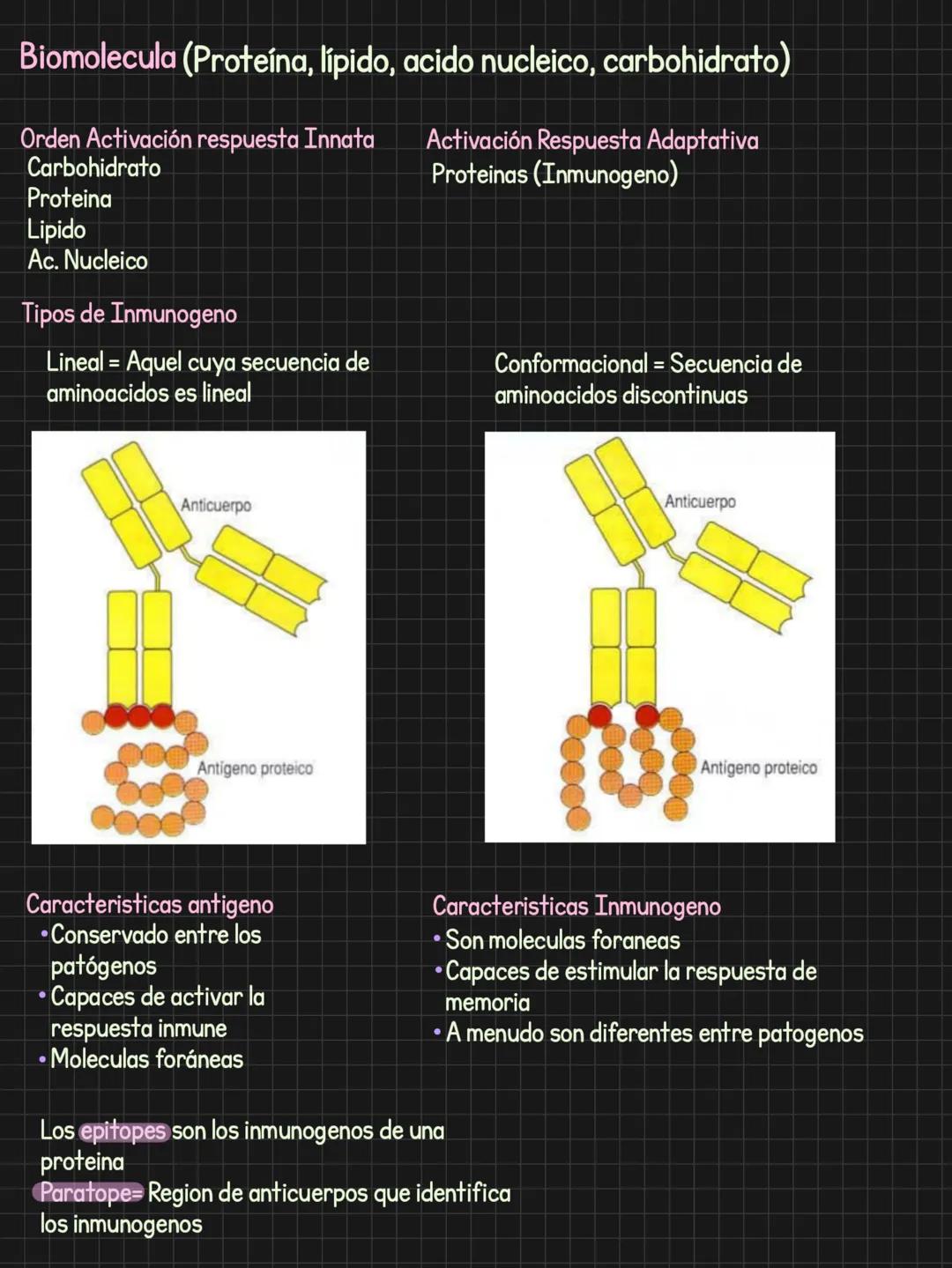Citoquinas = Comunicación celular
Generalidades
Para que sirven? llamado = Comunicar algo que ocurre
-Activar
-Inducir migración
Induci