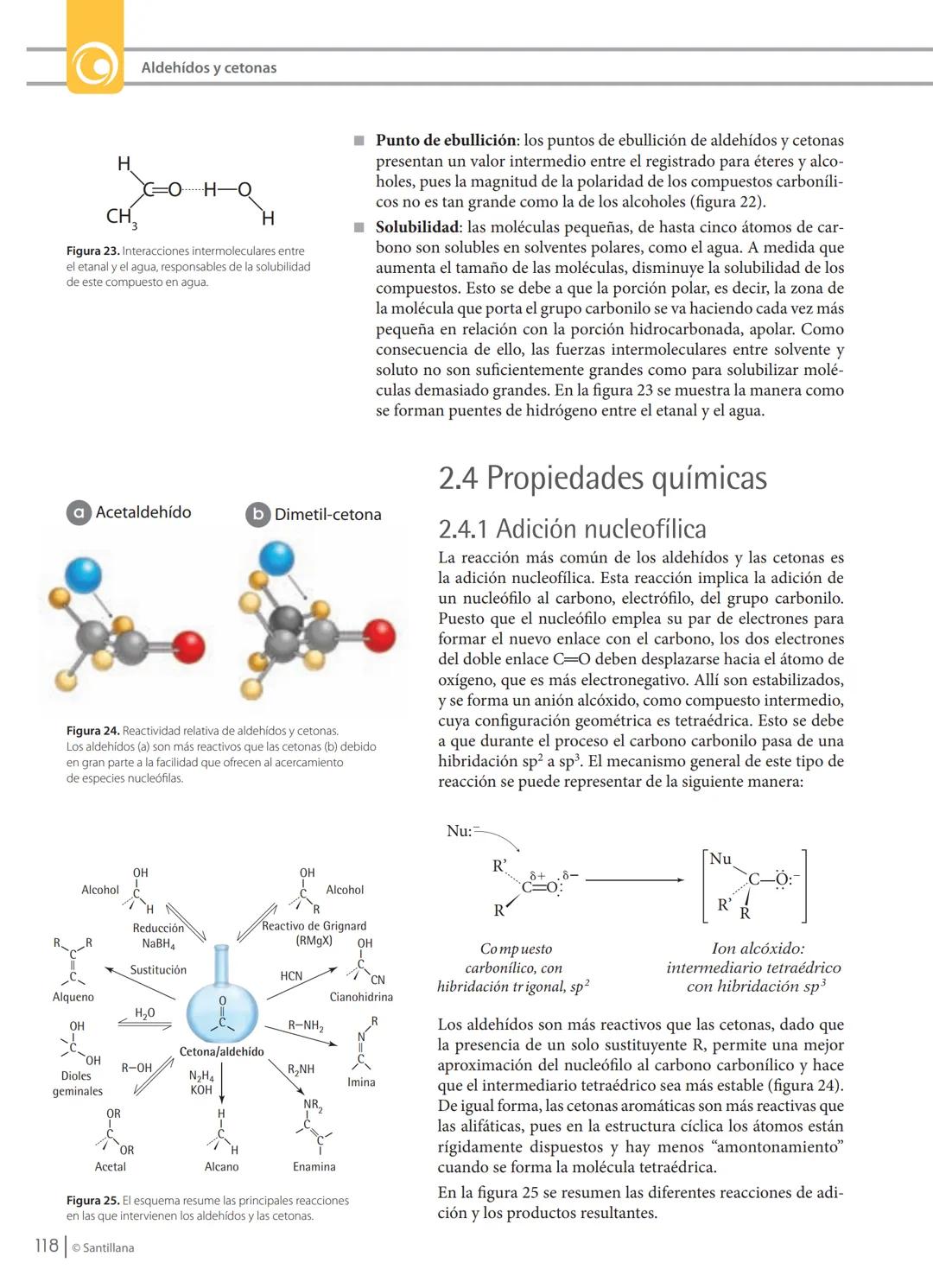 MANEJO CONOCIMIENTOS
PROPIOS DE LAS CIENCIAS NATURALES
Aldehído
H
OH
Acido carboxílico
R
Cetona
OR'
Ester
ONH,
Amida
Figura 18. Resumen es