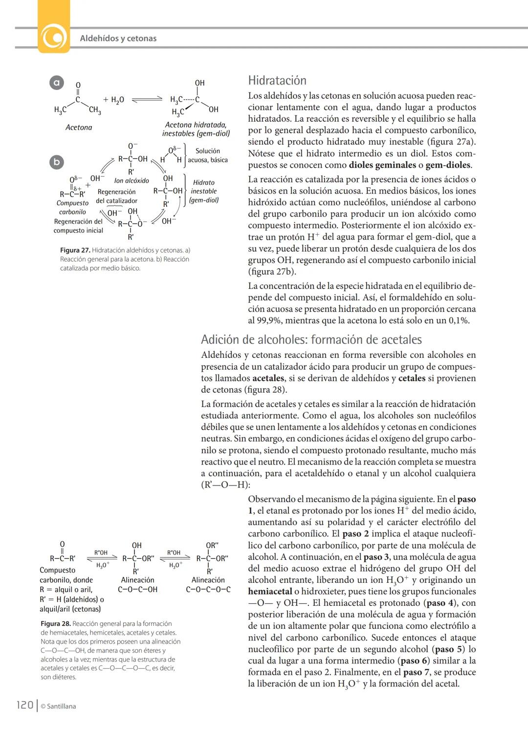 MANEJO CONOCIMIENTOS
PROPIOS DE LAS CIENCIAS NATURALES
Aldehído
H
OH
Acido carboxílico
R
Cetona
OR'
Ester
ONH,
Amida
Figura 18. Resumen es