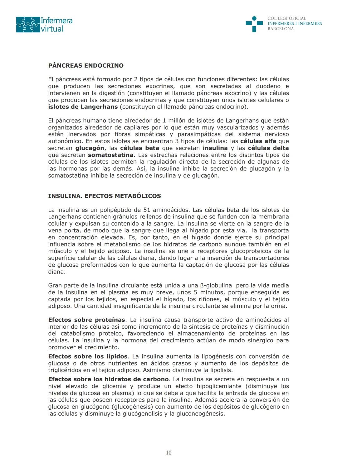 ५५
Infermera
virtual
DOCUMENTO ORIGINAL DE LA AUTORA
SISTEMA ENDOCRINO
• ENDOCRINOLOGÍA. GENERALIDADES
Concepto de glándula endocrina y d