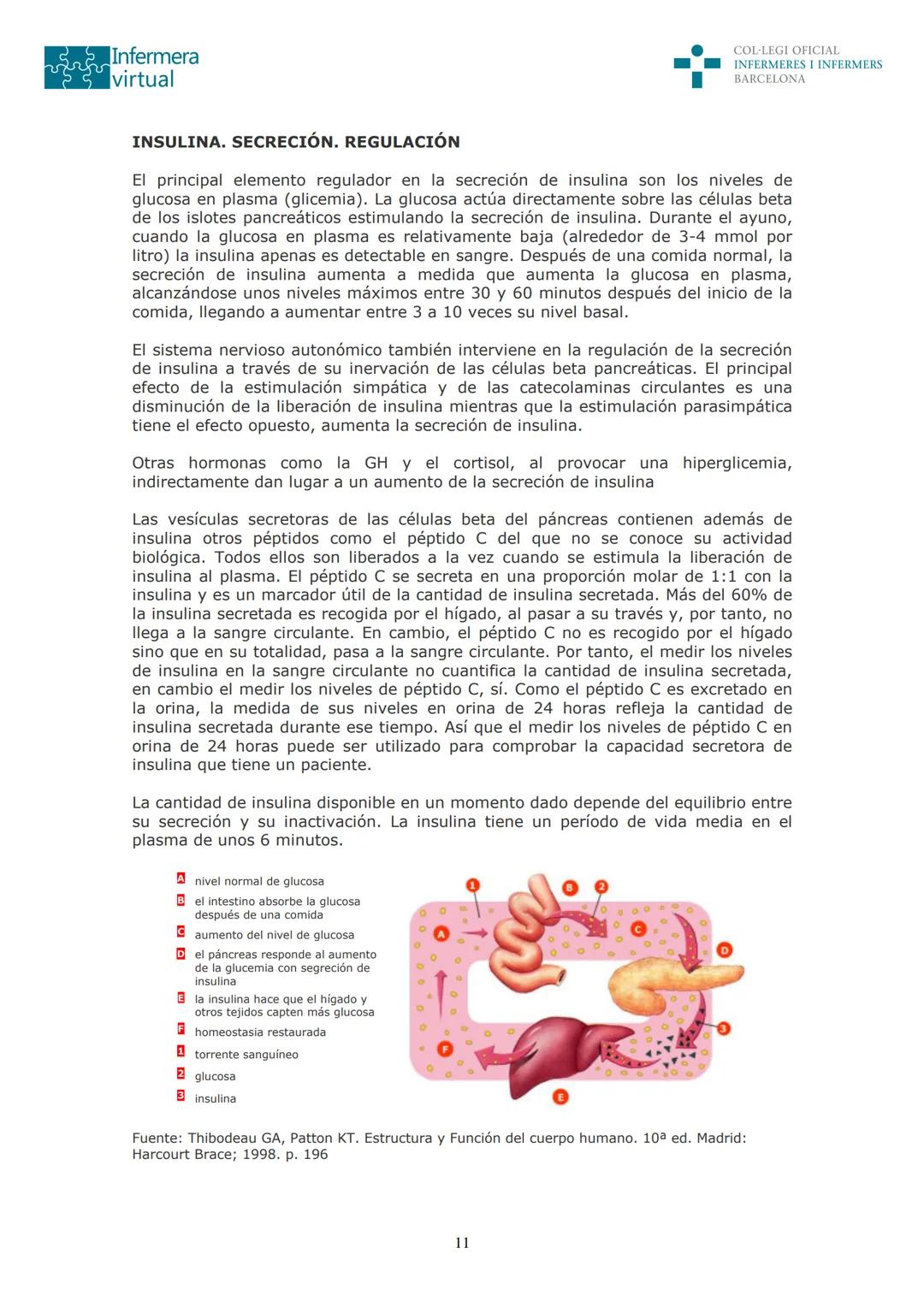 ५५
Infermera
virtual
DOCUMENTO ORIGINAL DE LA AUTORA
SISTEMA ENDOCRINO
• ENDOCRINOLOGÍA. GENERALIDADES
Concepto de glándula endocrina y d