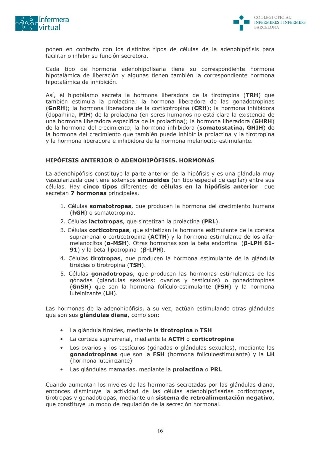 ५५
Infermera
virtual
DOCUMENTO ORIGINAL DE LA AUTORA
SISTEMA ENDOCRINO
• ENDOCRINOLOGÍA. GENERALIDADES
Concepto de glándula endocrina y d
