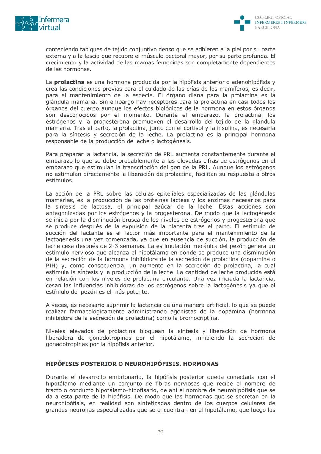 ५५
Infermera
virtual
DOCUMENTO ORIGINAL DE LA AUTORA
SISTEMA ENDOCRINO
• ENDOCRINOLOGÍA. GENERALIDADES
Concepto de glándula endocrina y d