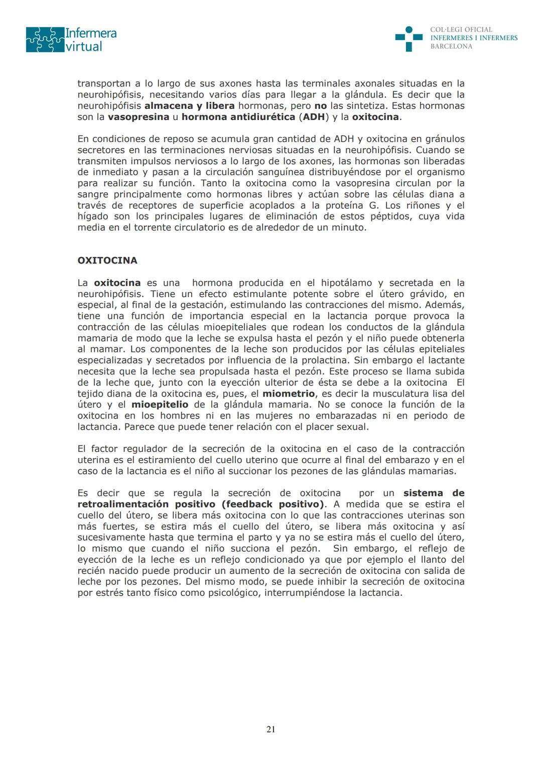 ५५
Infermera
virtual
DOCUMENTO ORIGINAL DE LA AUTORA
SISTEMA ENDOCRINO
• ENDOCRINOLOGÍA. GENERALIDADES
Concepto de glándula endocrina y d