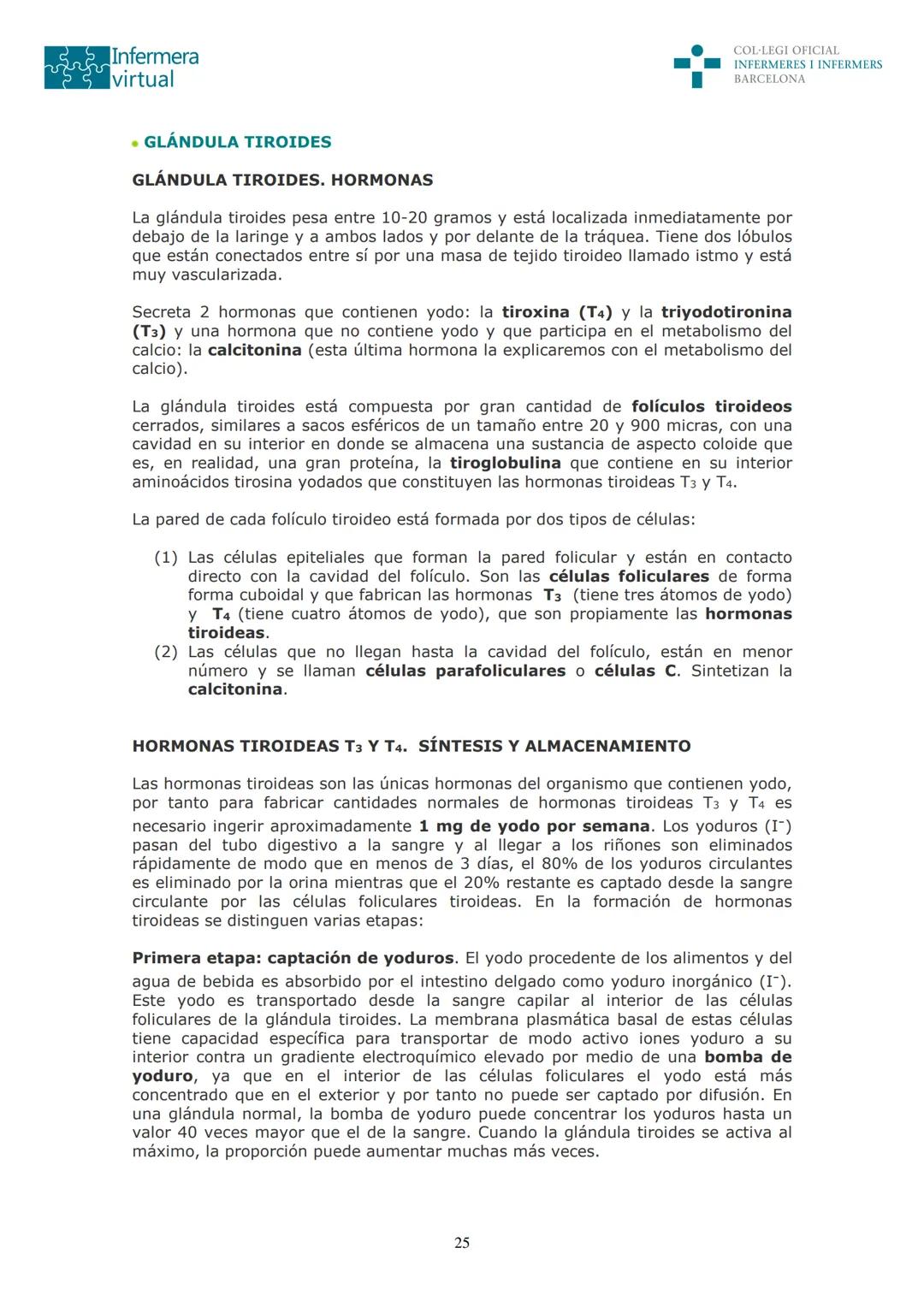 ५५
Infermera
virtual
DOCUMENTO ORIGINAL DE LA AUTORA
SISTEMA ENDOCRINO
• ENDOCRINOLOGÍA. GENERALIDADES
Concepto de glándula endocrina y d