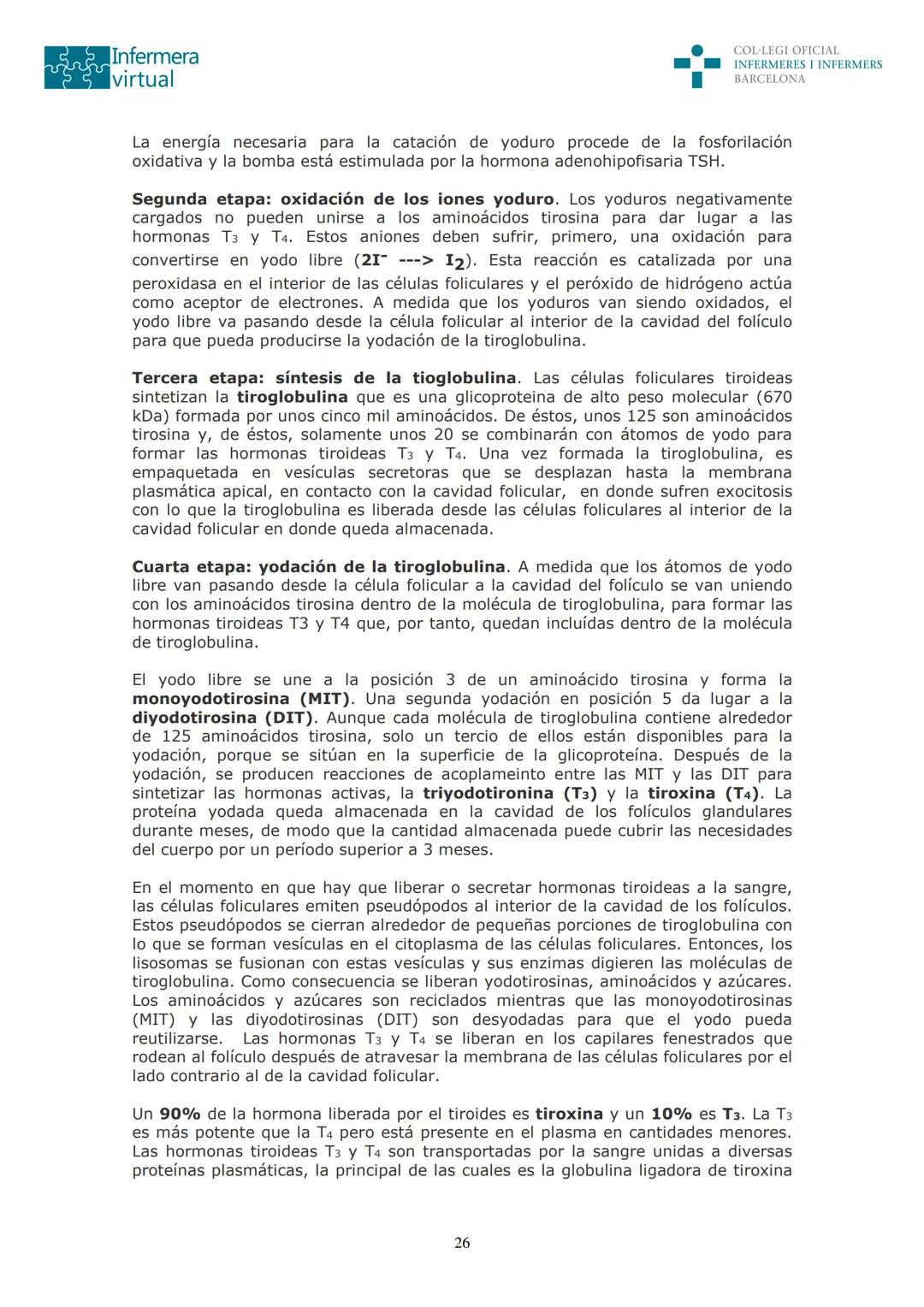 ५५
Infermera
virtual
DOCUMENTO ORIGINAL DE LA AUTORA
SISTEMA ENDOCRINO
• ENDOCRINOLOGÍA. GENERALIDADES
Concepto de glándula endocrina y d