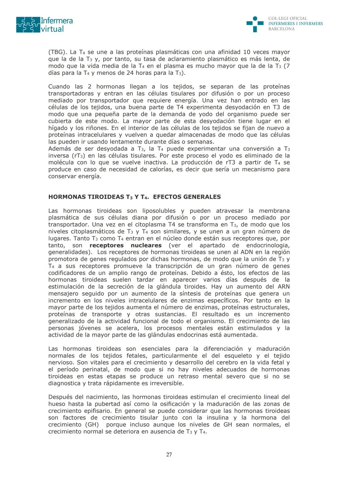 ५५
Infermera
virtual
DOCUMENTO ORIGINAL DE LA AUTORA
SISTEMA ENDOCRINO
• ENDOCRINOLOGÍA. GENERALIDADES
Concepto de glándula endocrina y d