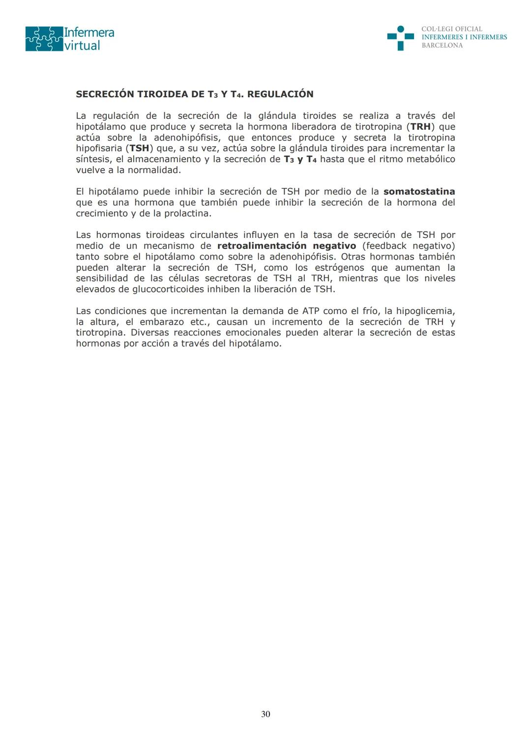 ५५
Infermera
virtual
DOCUMENTO ORIGINAL DE LA AUTORA
SISTEMA ENDOCRINO
• ENDOCRINOLOGÍA. GENERALIDADES
Concepto de glándula endocrina y d