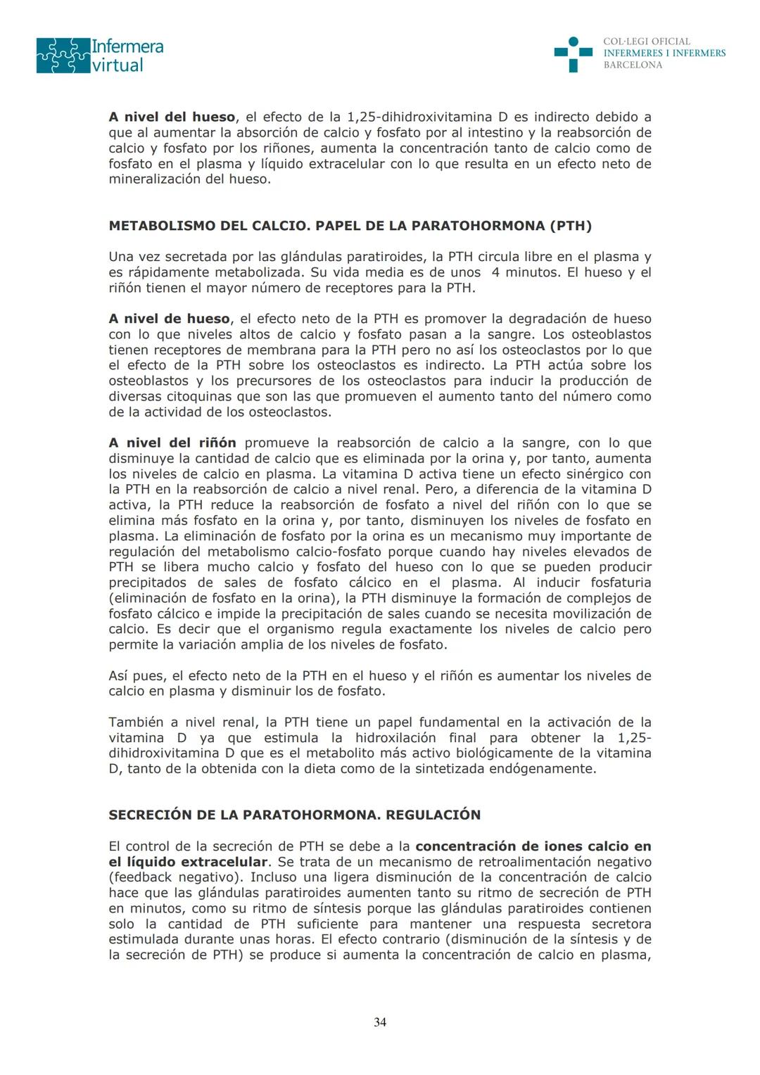 ५५
Infermera
virtual
DOCUMENTO ORIGINAL DE LA AUTORA
SISTEMA ENDOCRINO
• ENDOCRINOLOGÍA. GENERALIDADES
Concepto de glándula endocrina y d