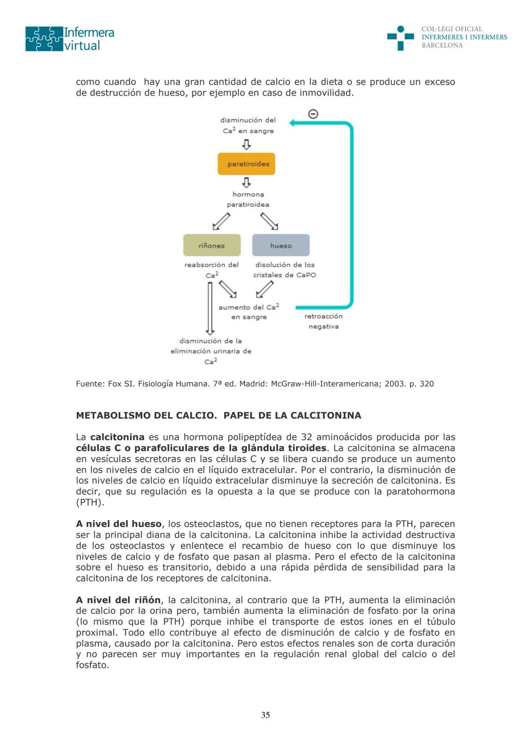 ५५
Infermera
virtual
DOCUMENTO ORIGINAL DE LA AUTORA
SISTEMA ENDOCRINO
• ENDOCRINOLOGÍA. GENERALIDADES
Concepto de glándula endocrina y d