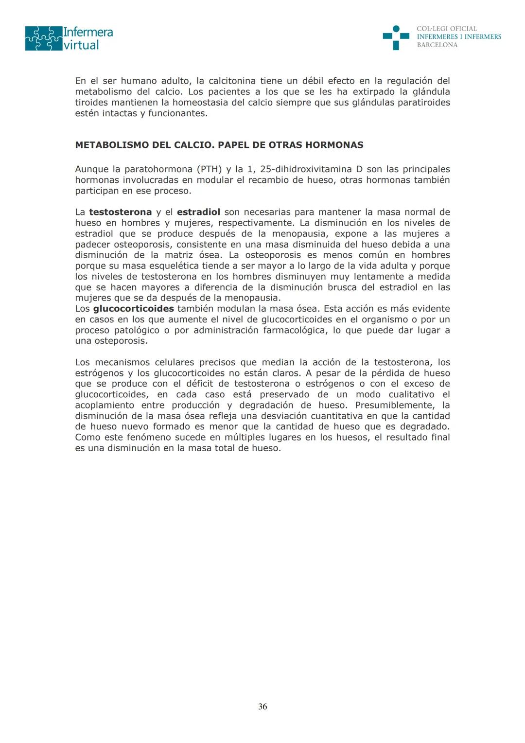 ५५
Infermera
virtual
DOCUMENTO ORIGINAL DE LA AUTORA
SISTEMA ENDOCRINO
• ENDOCRINOLOGÍA. GENERALIDADES
Concepto de glándula endocrina y d