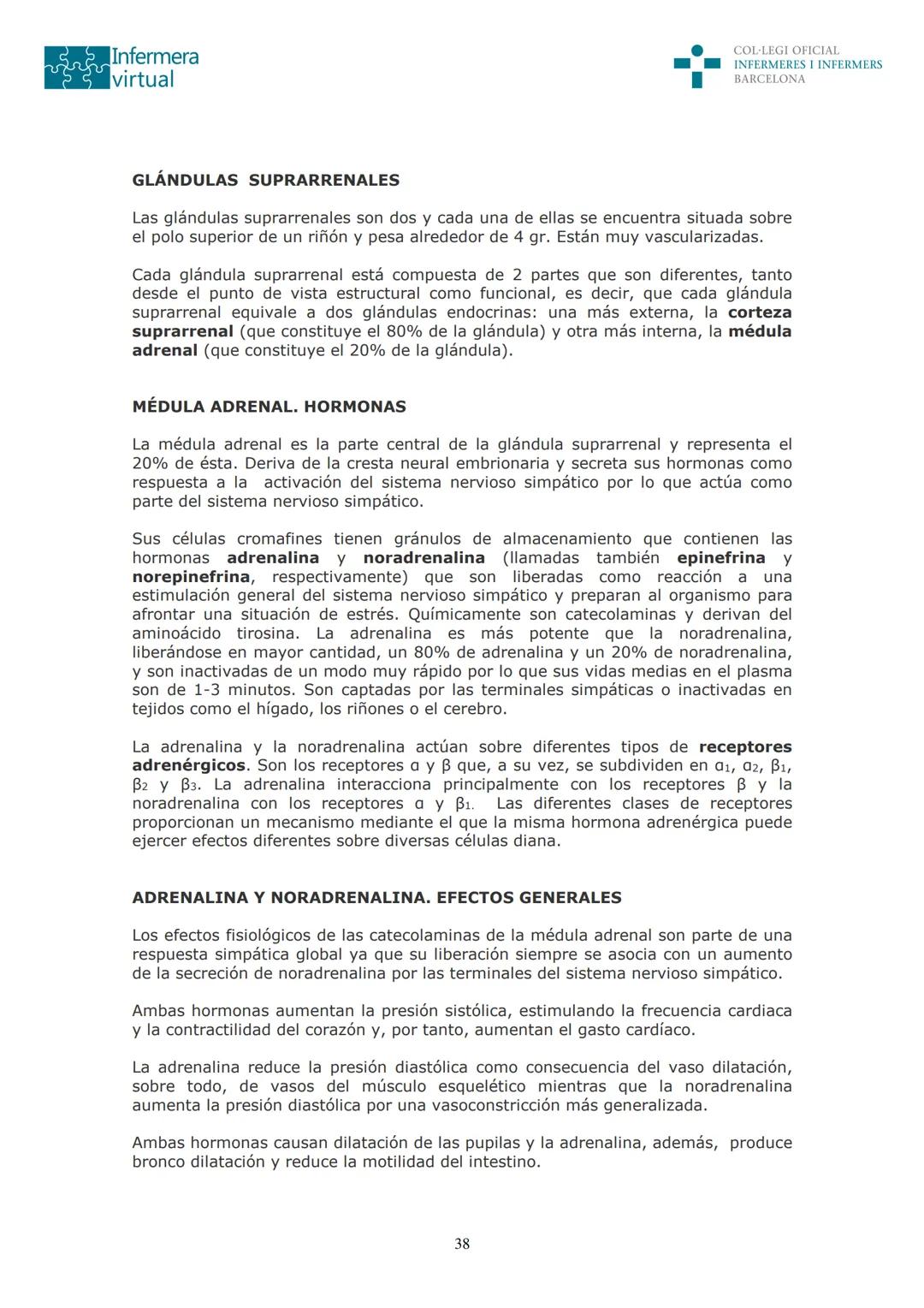 ५५
Infermera
virtual
DOCUMENTO ORIGINAL DE LA AUTORA
SISTEMA ENDOCRINO
• ENDOCRINOLOGÍA. GENERALIDADES
Concepto de glándula endocrina y d