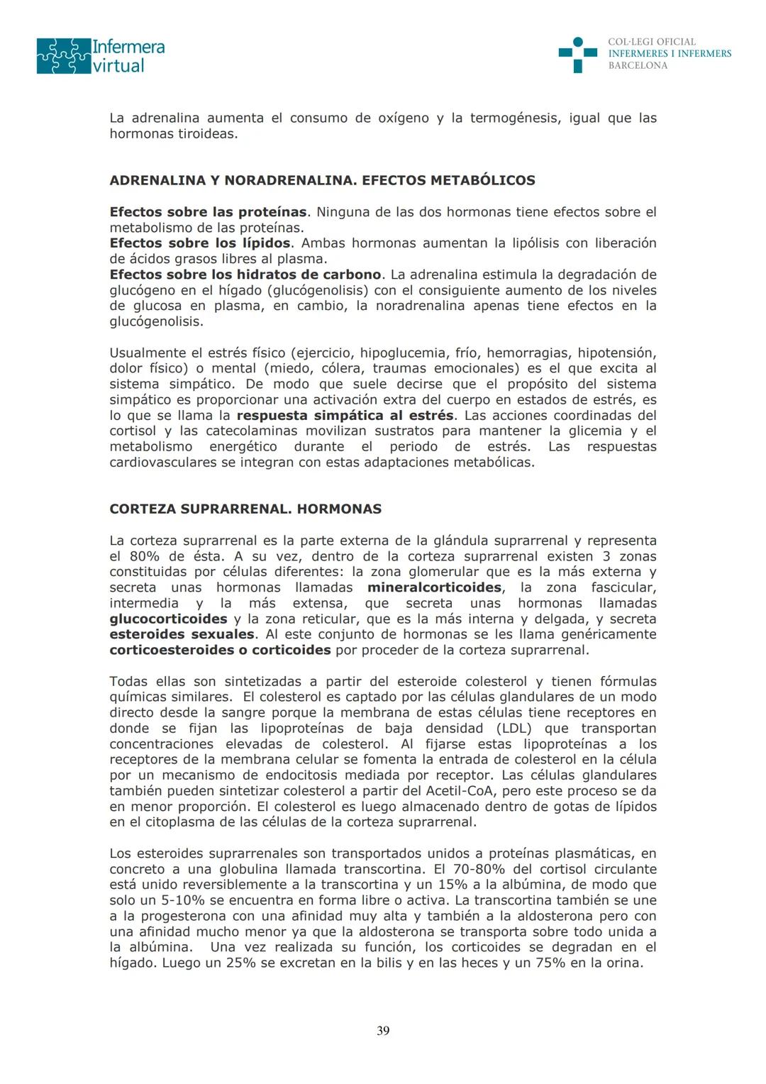 ५५
Infermera
virtual
DOCUMENTO ORIGINAL DE LA AUTORA
SISTEMA ENDOCRINO
• ENDOCRINOLOGÍA. GENERALIDADES
Concepto de glándula endocrina y d