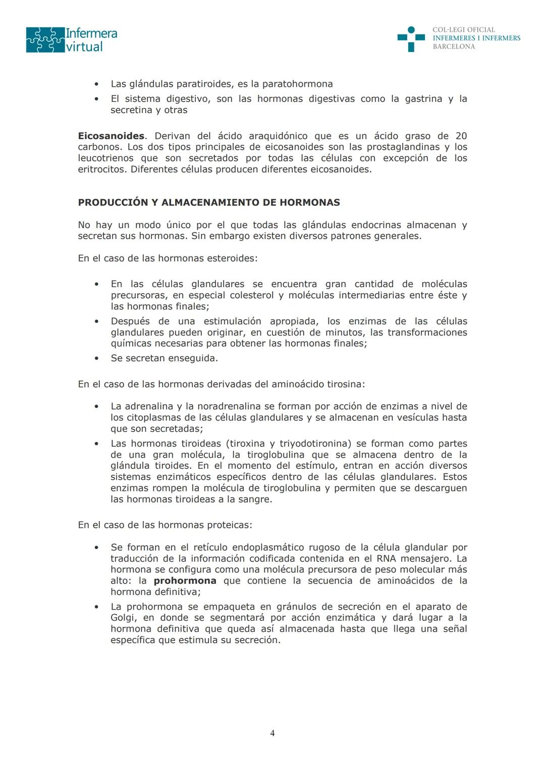 ५५
Infermera
virtual
DOCUMENTO ORIGINAL DE LA AUTORA
SISTEMA ENDOCRINO
• ENDOCRINOLOGÍA. GENERALIDADES
Concepto de glándula endocrina y d