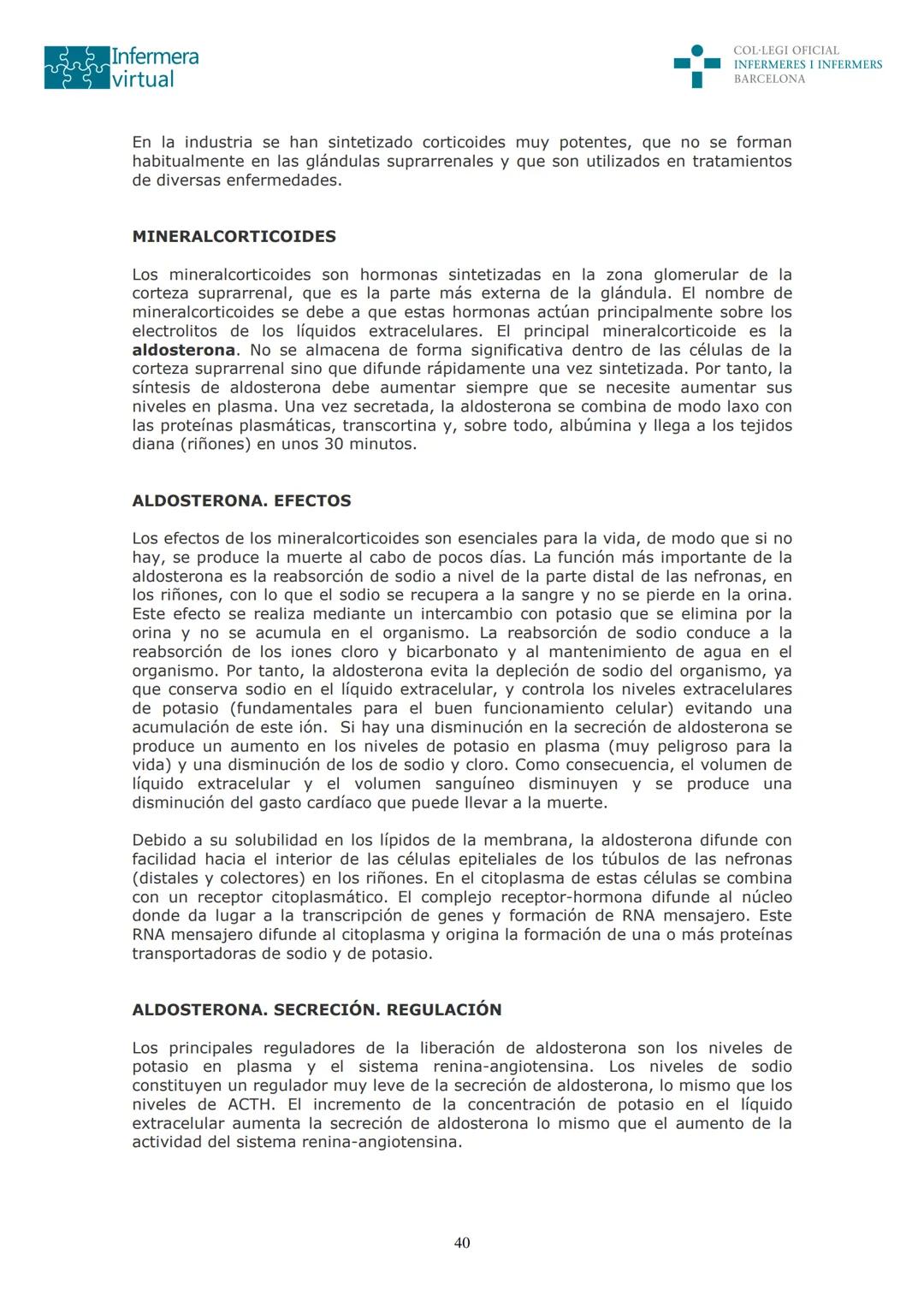 ५५
Infermera
virtual
DOCUMENTO ORIGINAL DE LA AUTORA
SISTEMA ENDOCRINO
• ENDOCRINOLOGÍA. GENERALIDADES
Concepto de glándula endocrina y d