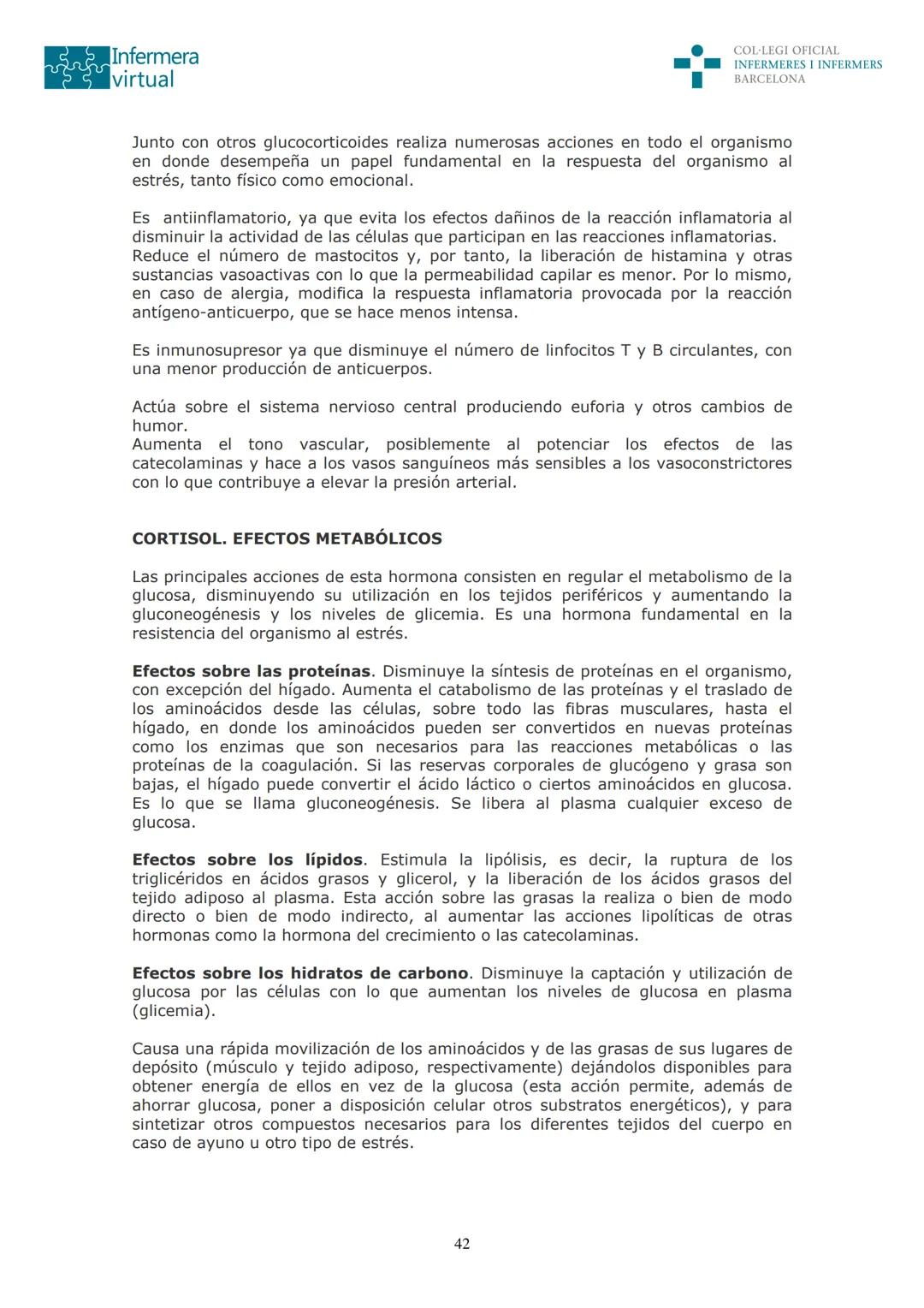 ५५
Infermera
virtual
DOCUMENTO ORIGINAL DE LA AUTORA
SISTEMA ENDOCRINO
• ENDOCRINOLOGÍA. GENERALIDADES
Concepto de glándula endocrina y d