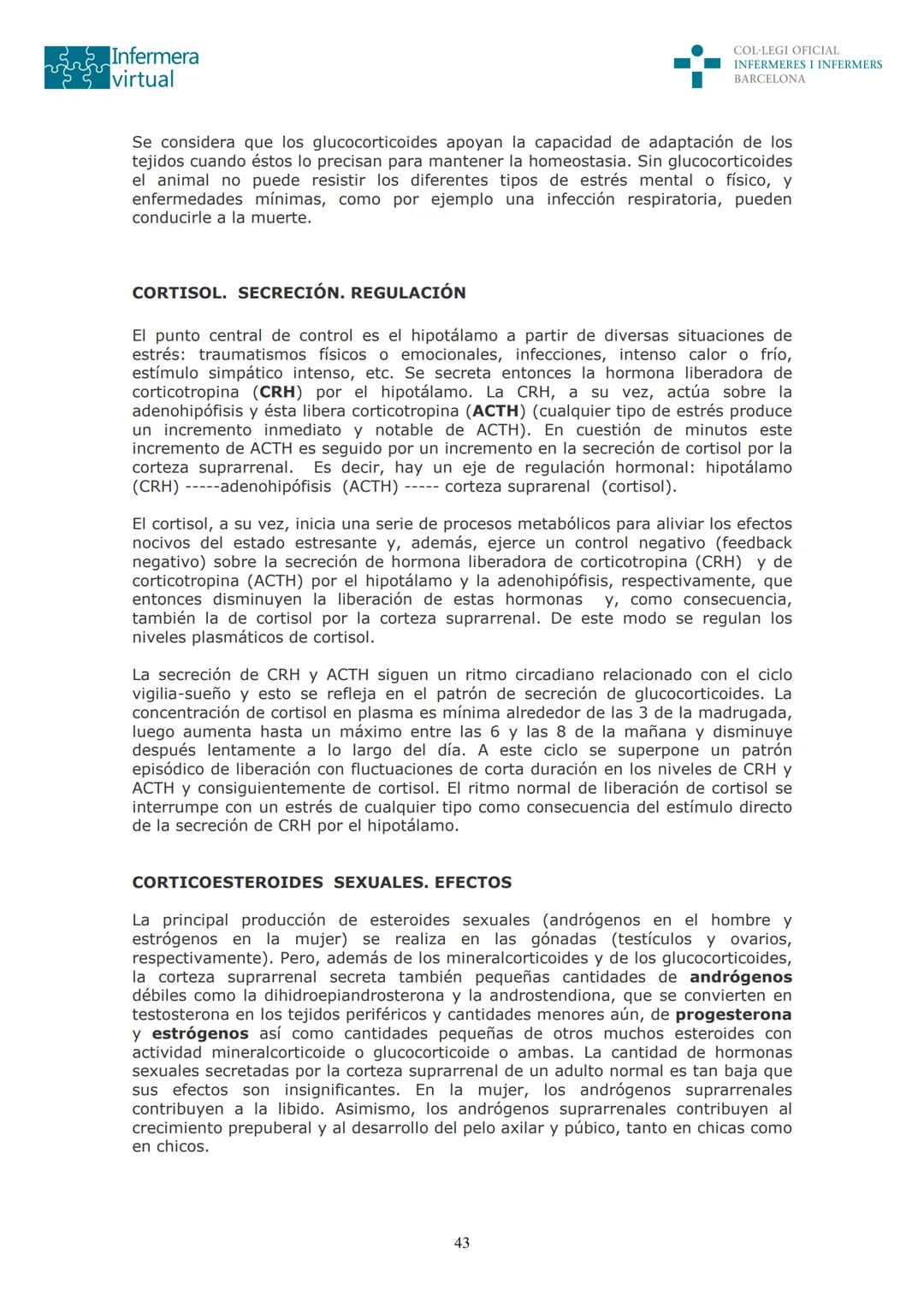 ५५
Infermera
virtual
DOCUMENTO ORIGINAL DE LA AUTORA
SISTEMA ENDOCRINO
• ENDOCRINOLOGÍA. GENERALIDADES
Concepto de glándula endocrina y d