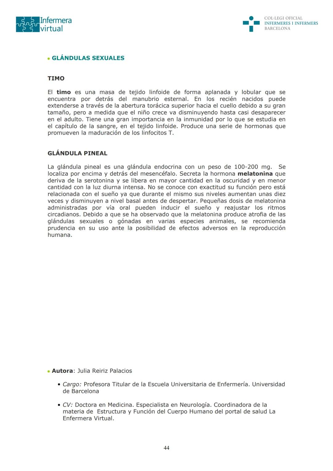 ५५
Infermera
virtual
DOCUMENTO ORIGINAL DE LA AUTORA
SISTEMA ENDOCRINO
• ENDOCRINOLOGÍA. GENERALIDADES
Concepto de glándula endocrina y d