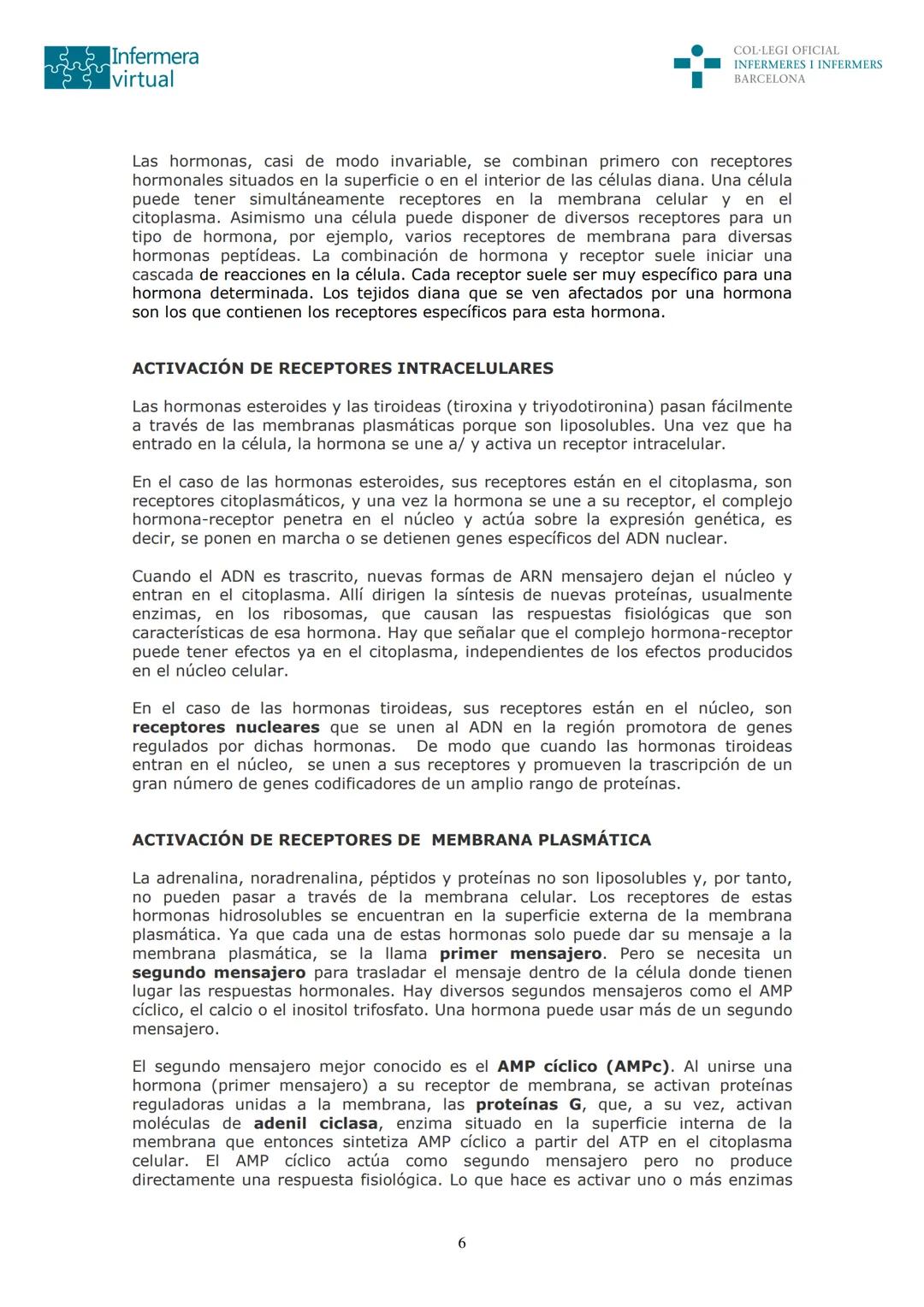 ५५
Infermera
virtual
DOCUMENTO ORIGINAL DE LA AUTORA
SISTEMA ENDOCRINO
• ENDOCRINOLOGÍA. GENERALIDADES
Concepto de glándula endocrina y d