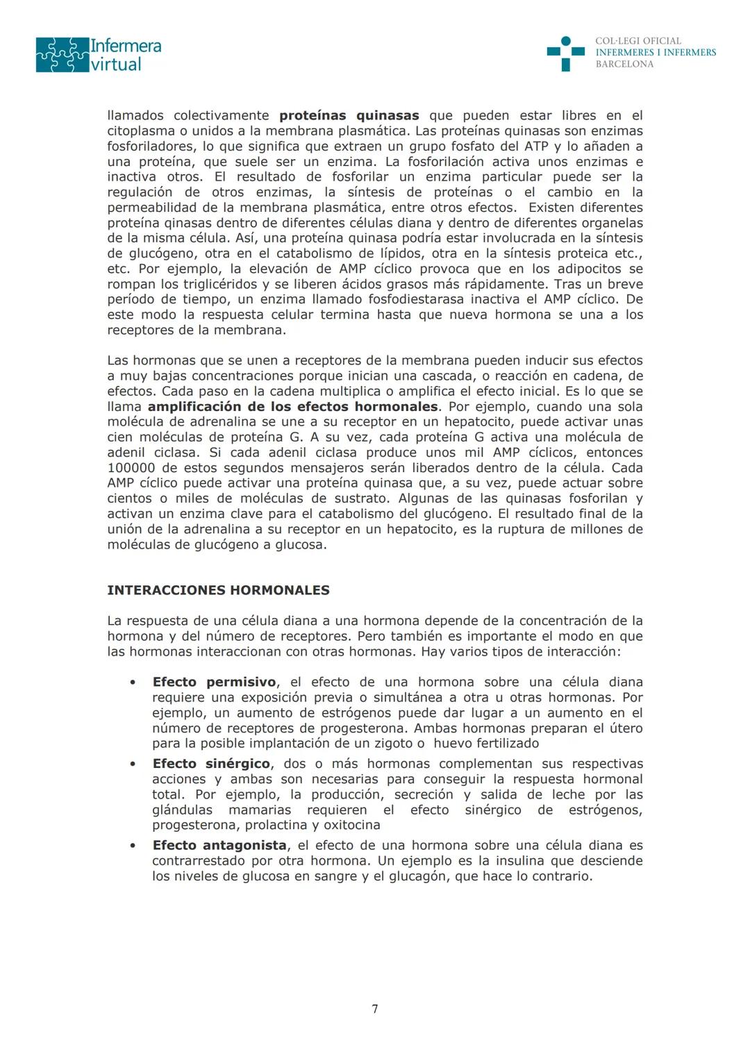 ५५
Infermera
virtual
DOCUMENTO ORIGINAL DE LA AUTORA
SISTEMA ENDOCRINO
• ENDOCRINOLOGÍA. GENERALIDADES
Concepto de glándula endocrina y d