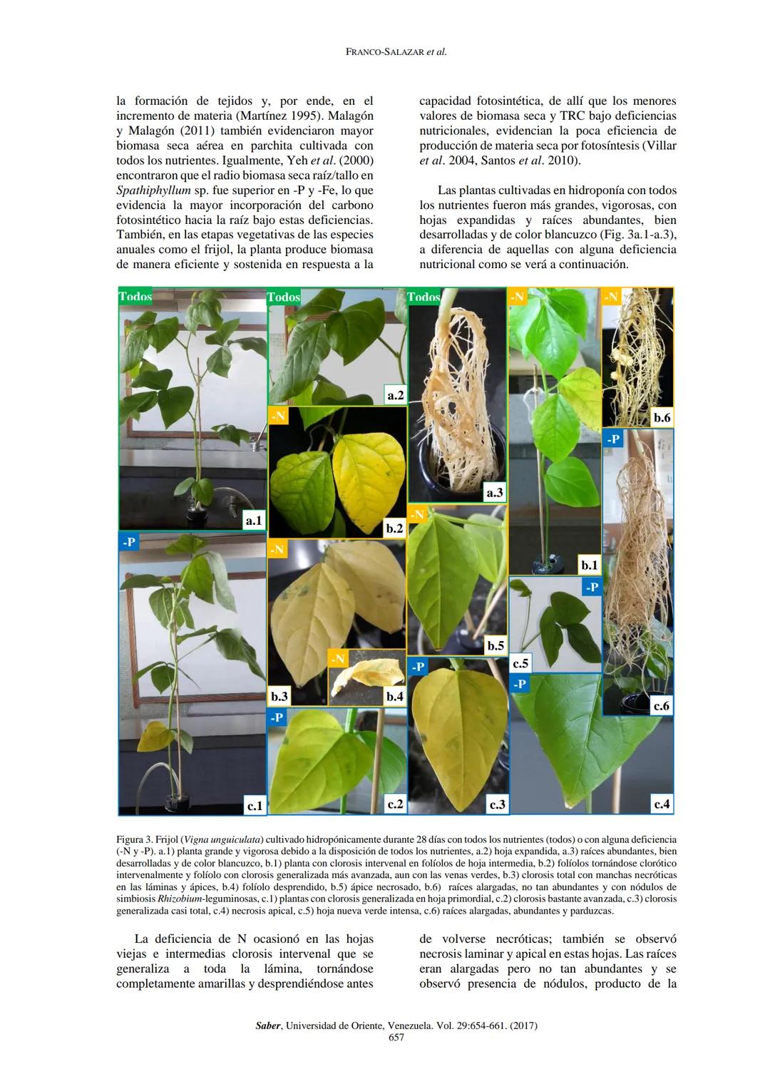 # View metadata, citation and similar papers at core.ac.uk
provided by Universidad de Oriente Venezuela. Consejo de Investigación: Revistas